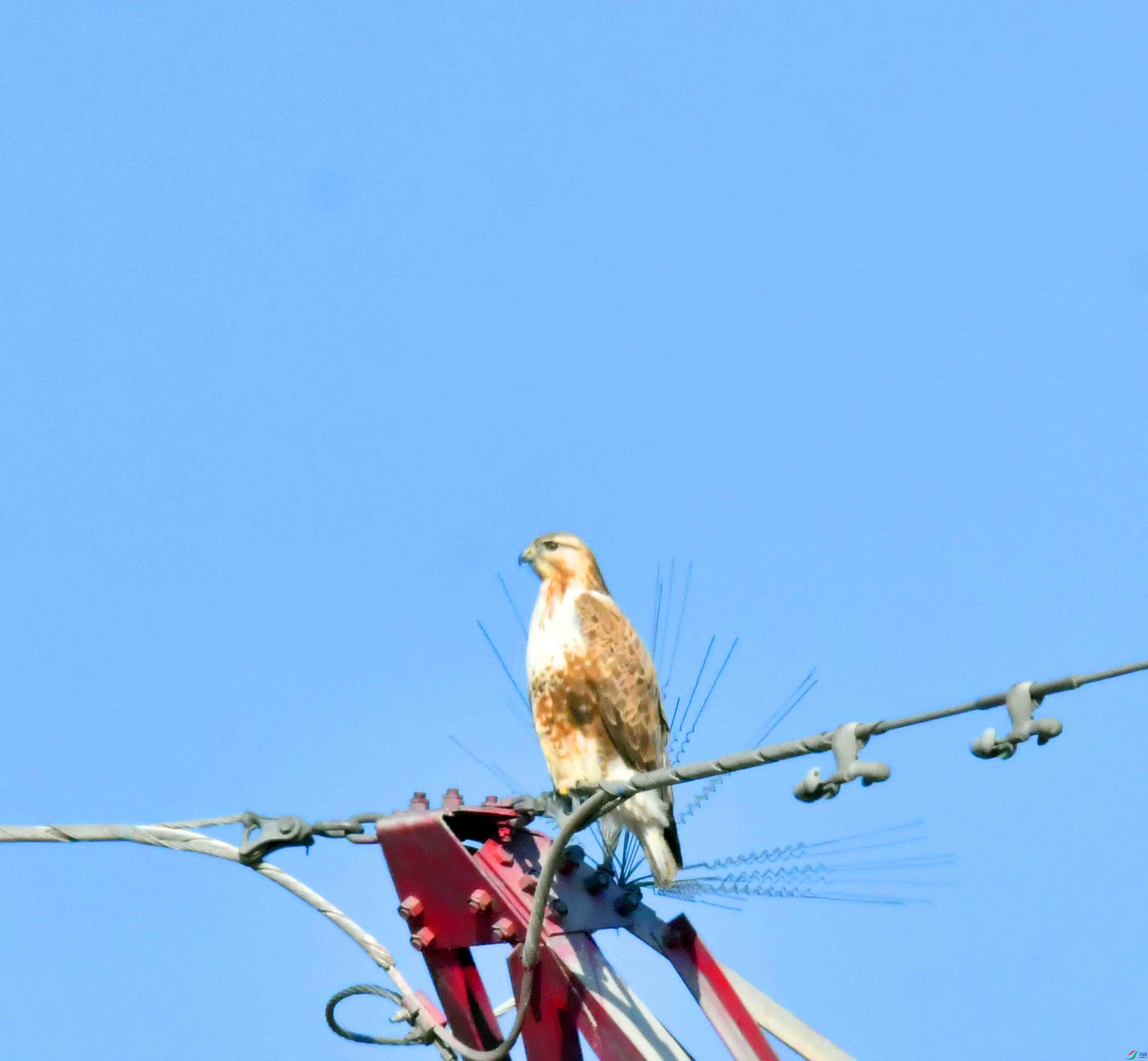 DSC_9613.JPG