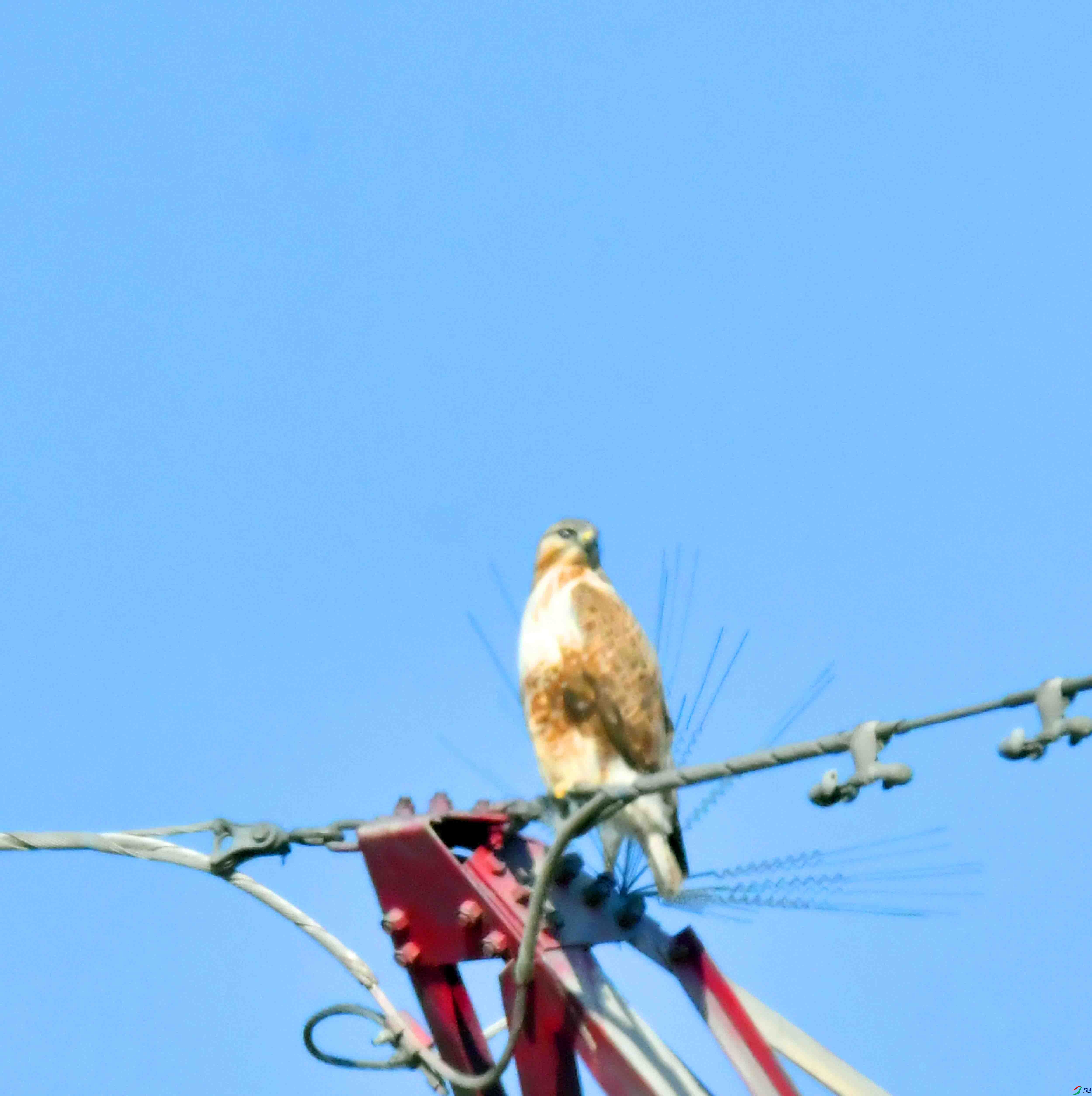 DSC_9617.JPG