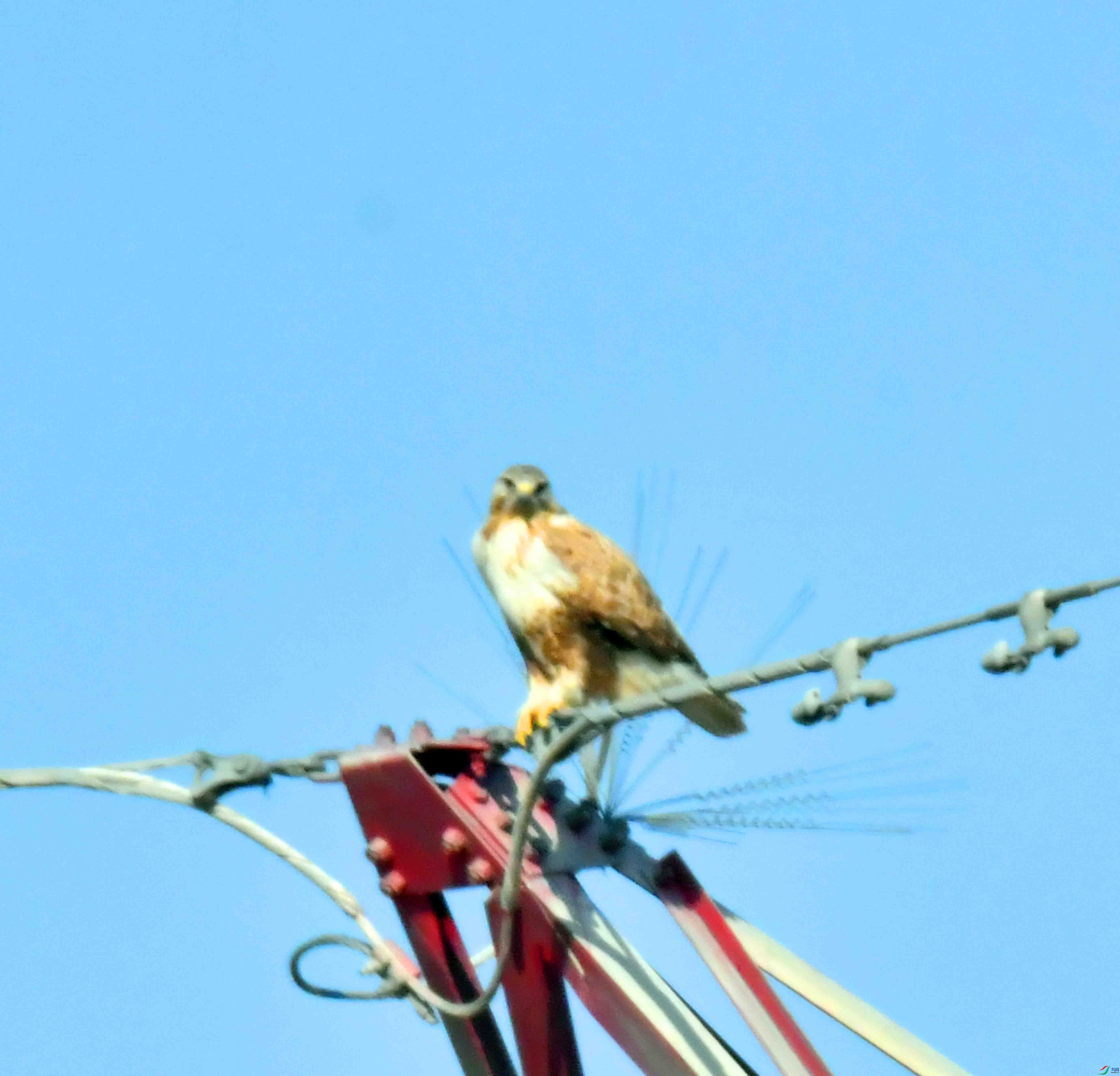 DSC_9630.JPG