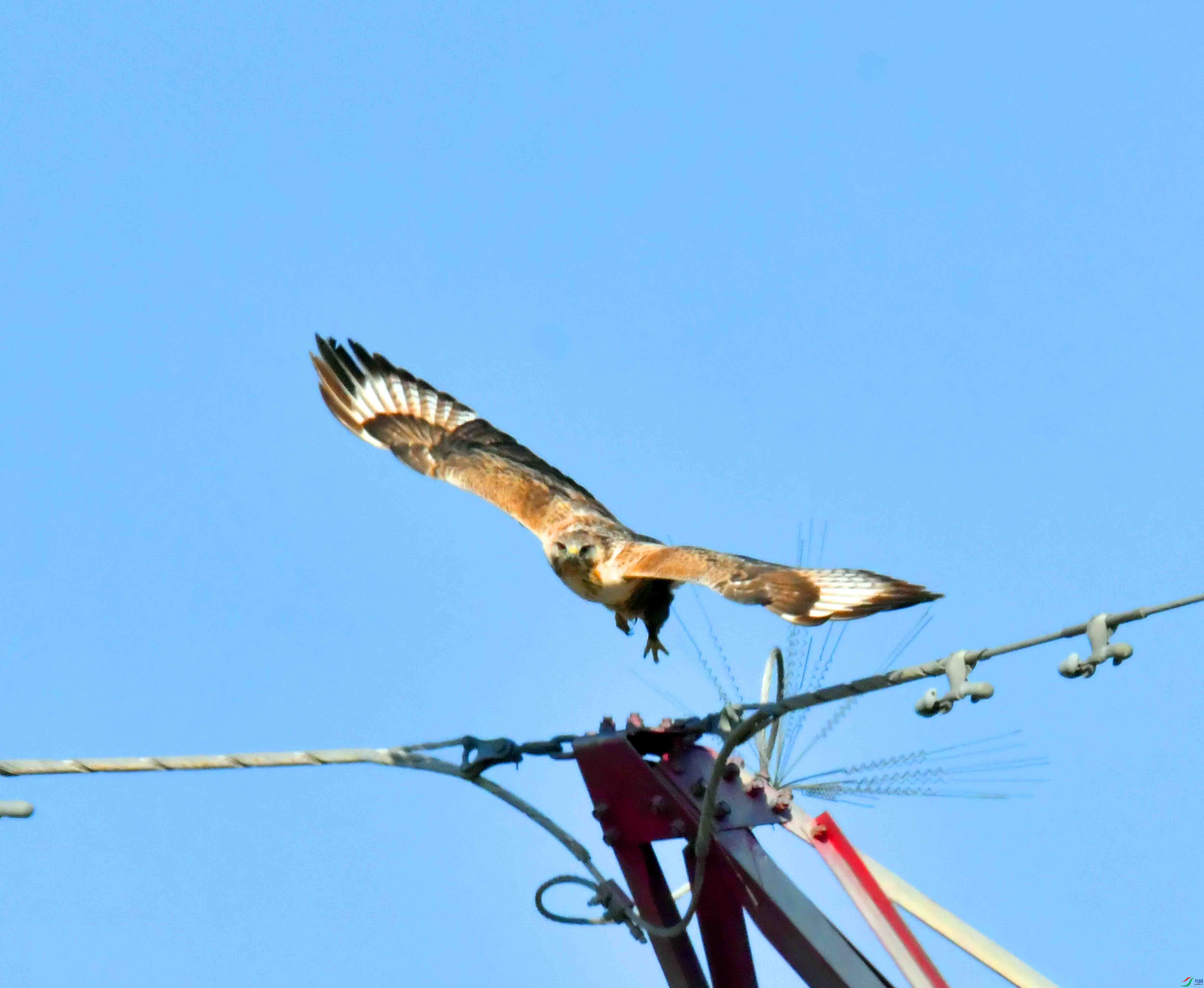 DSC_9632.JPG