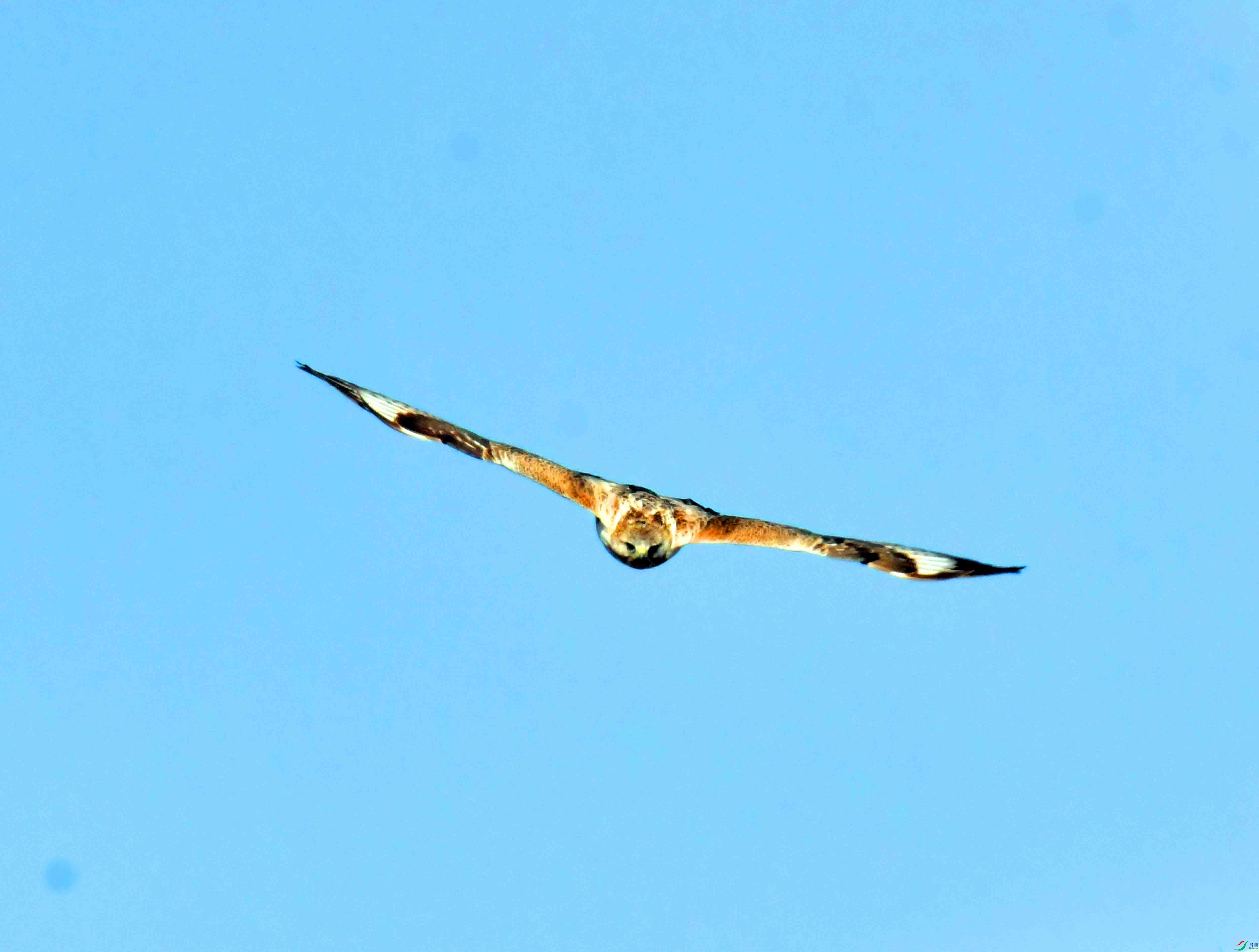 DSC_9635.JPG
