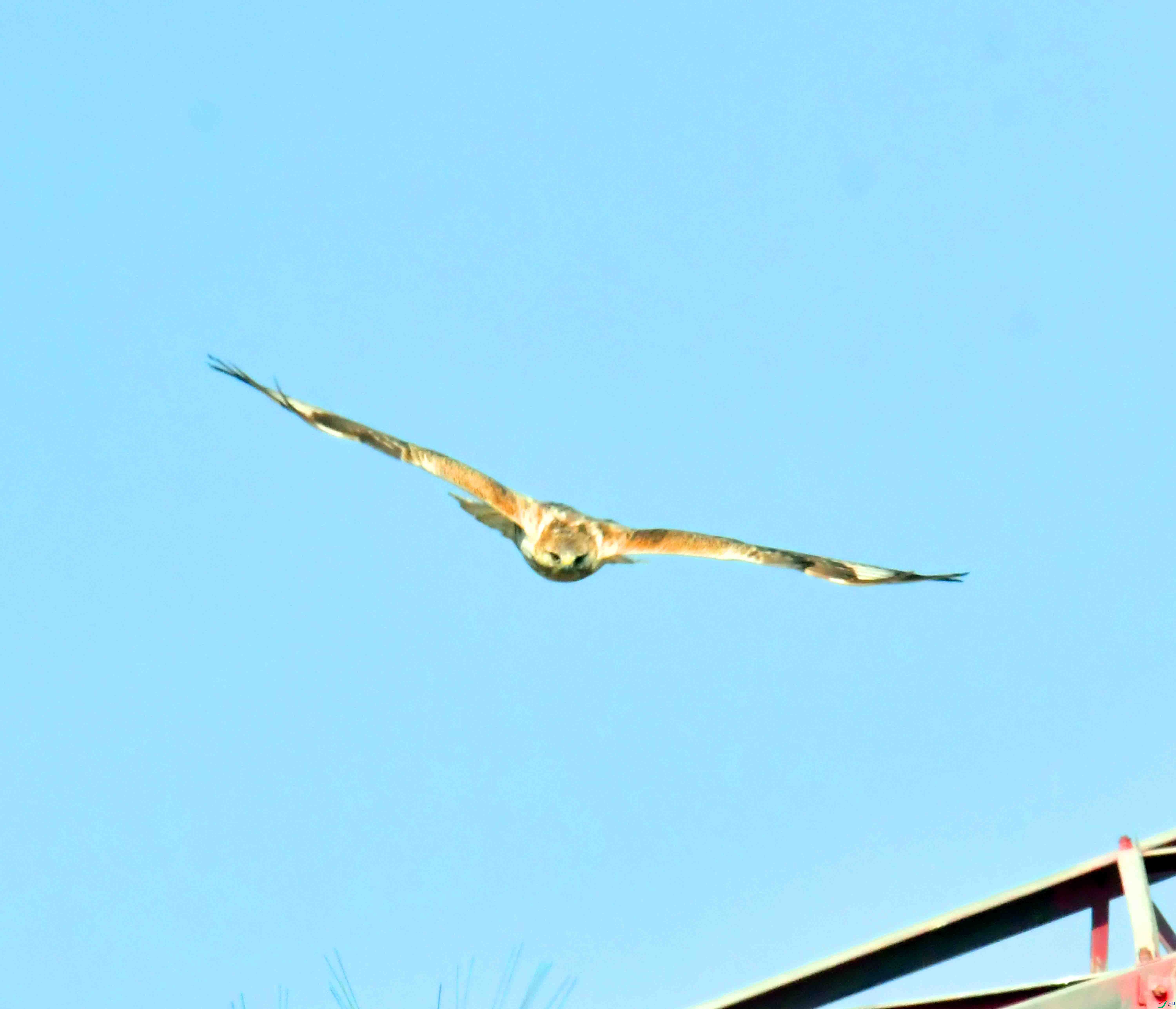 DSC_9636.JPG
