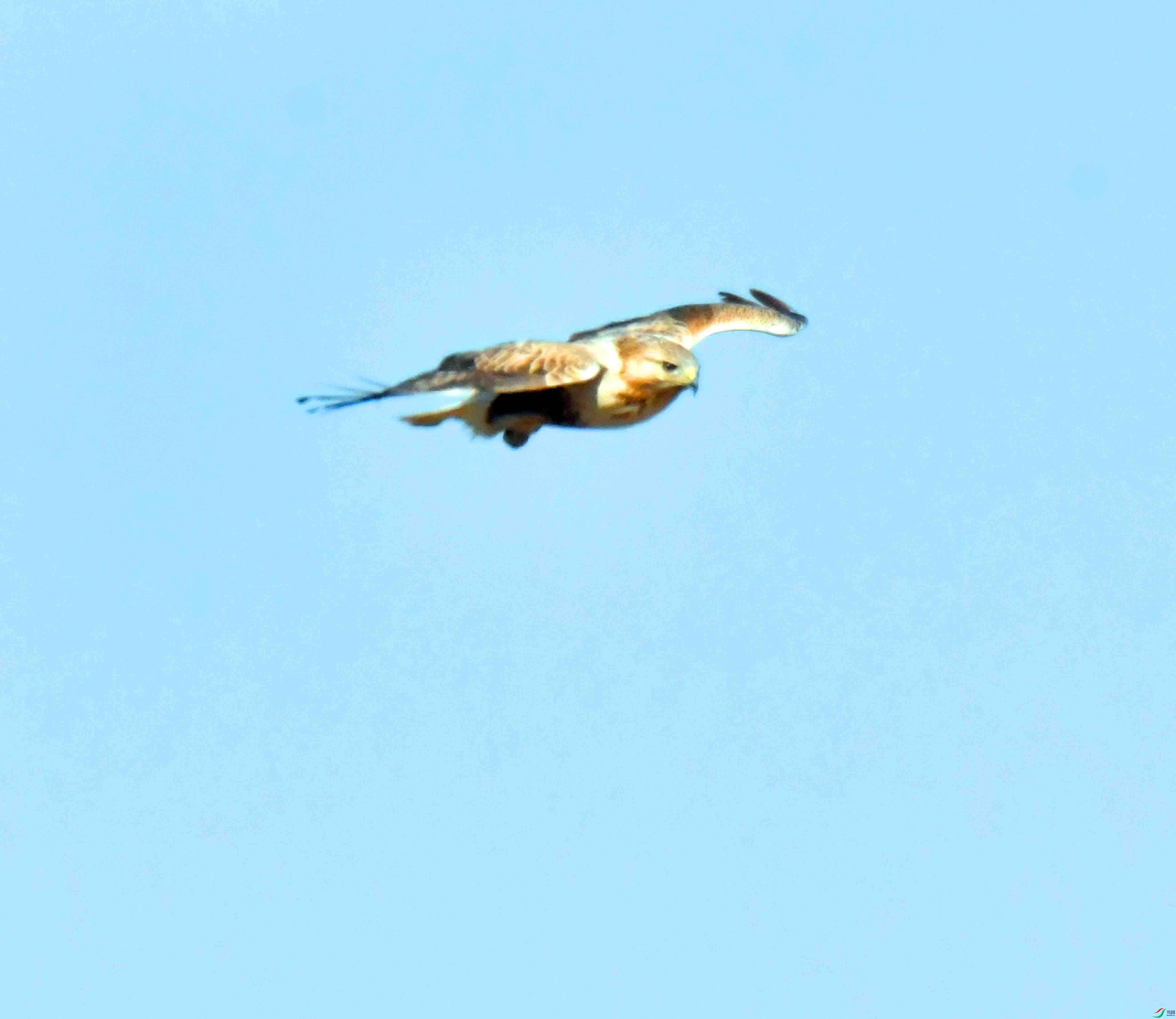 DSC_9639.JPG