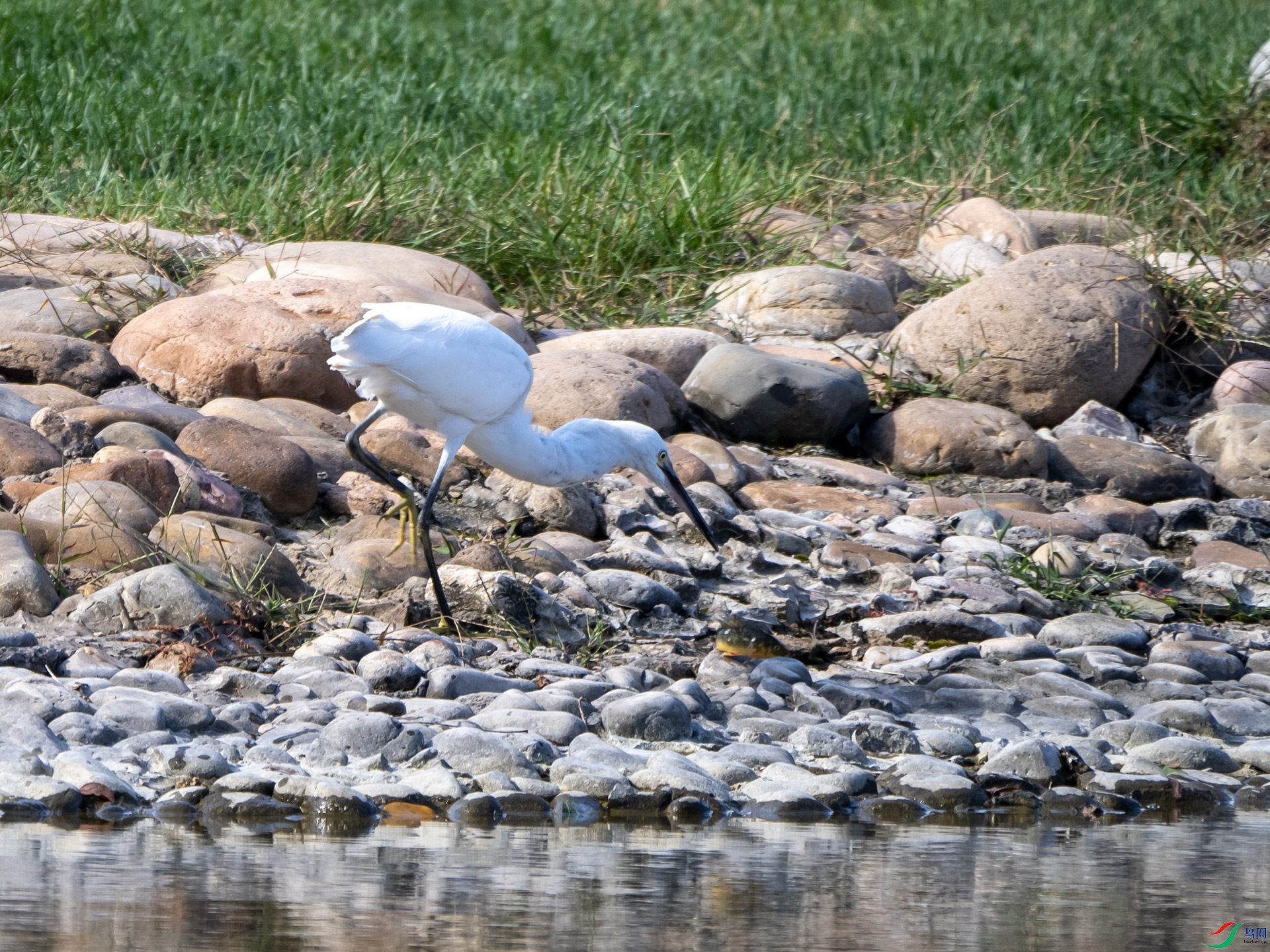 PA021433.jpg