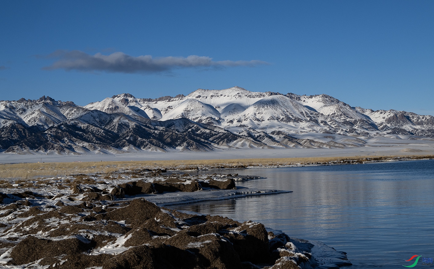 DSC_9525 ����.jpg