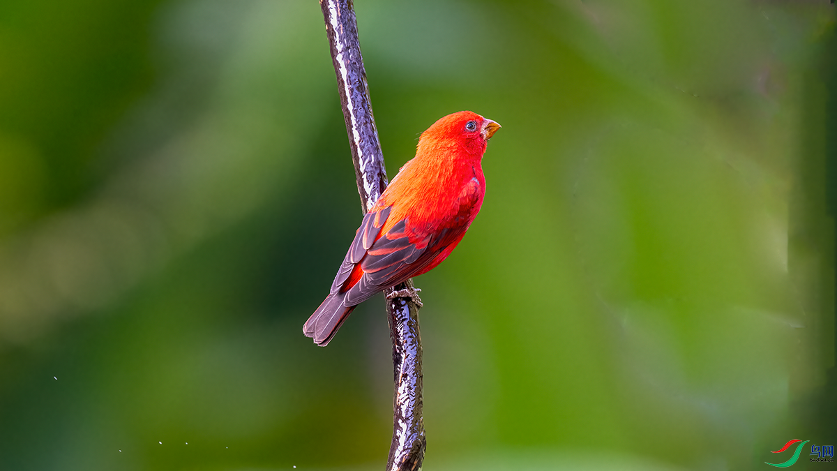 DSC_2165-2.png