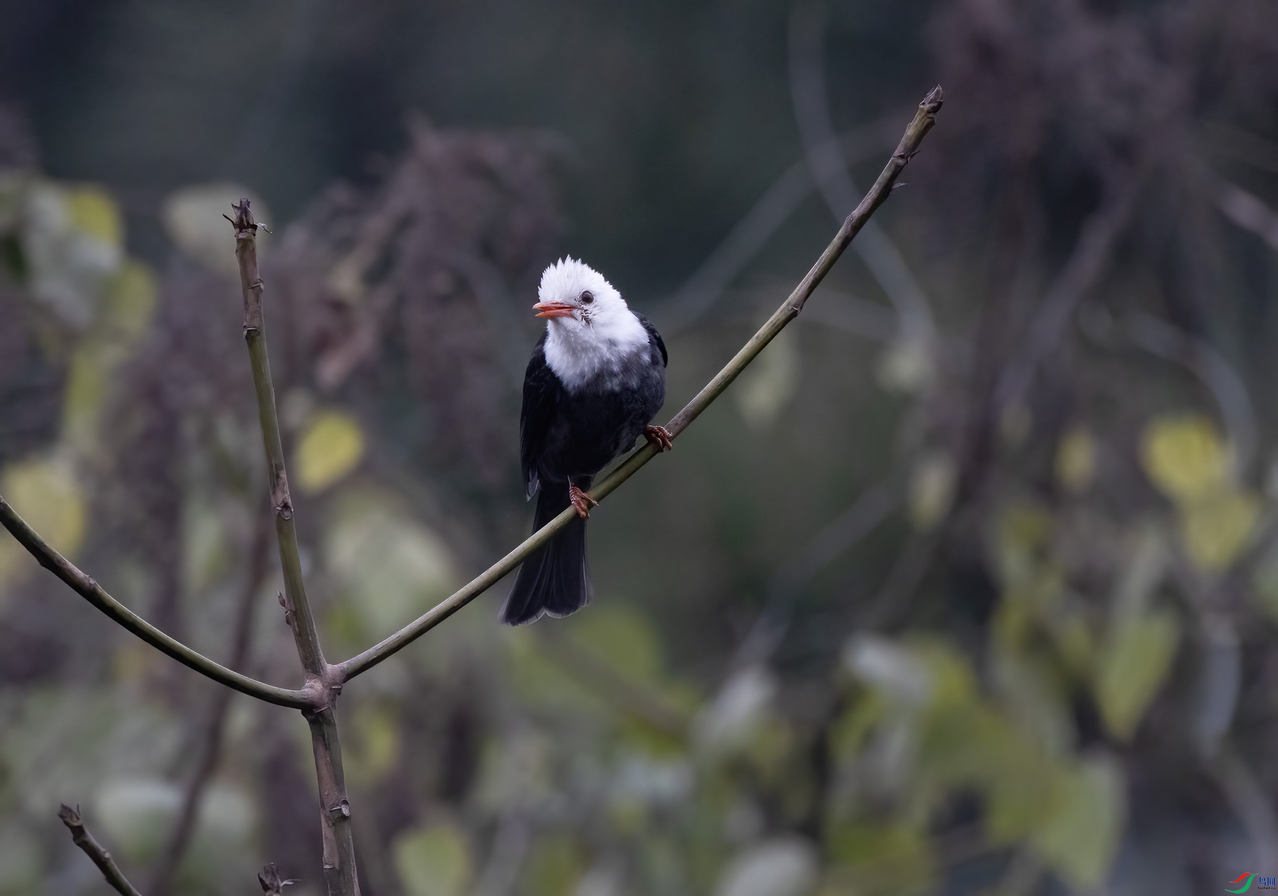 2I1A9838 ����.jpg