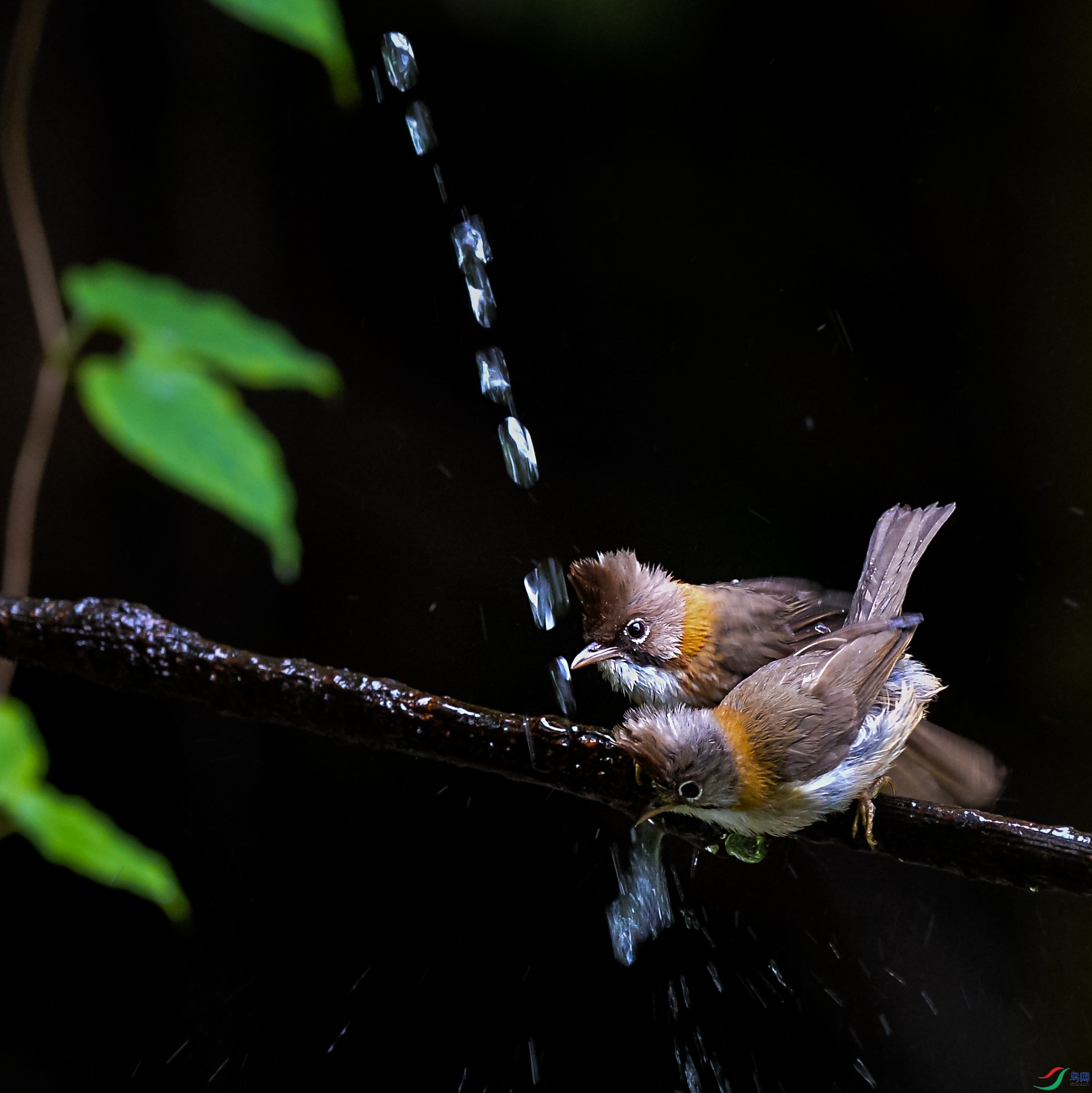 DSC_1370.jpg