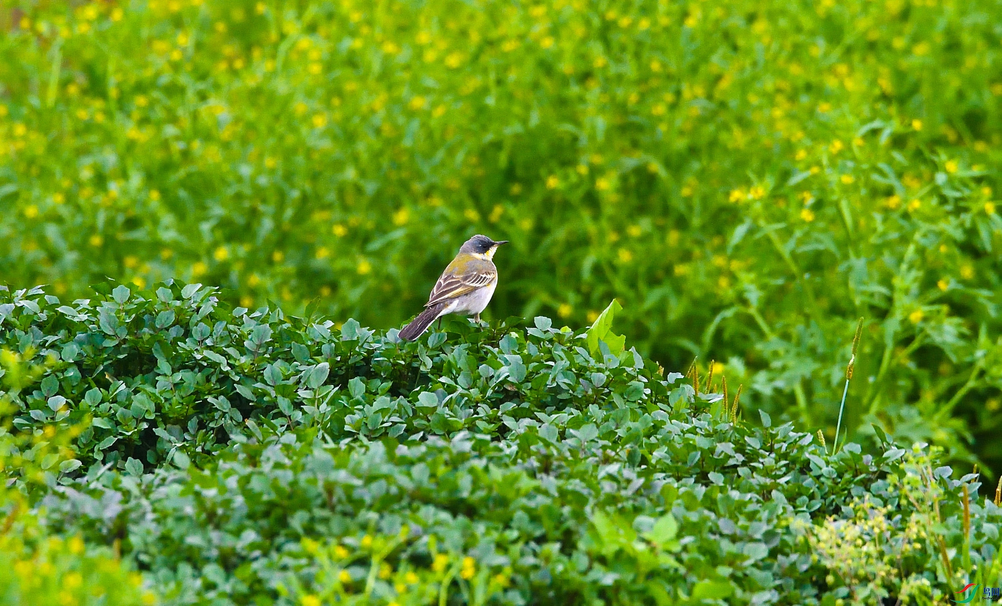 DSC_3922.jpg