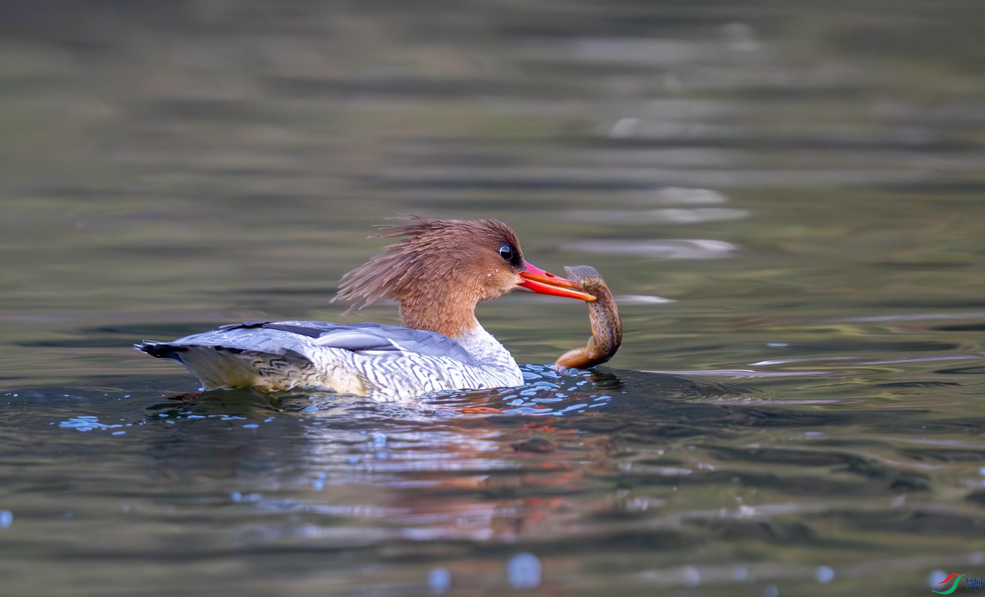DSC_6881.jpg