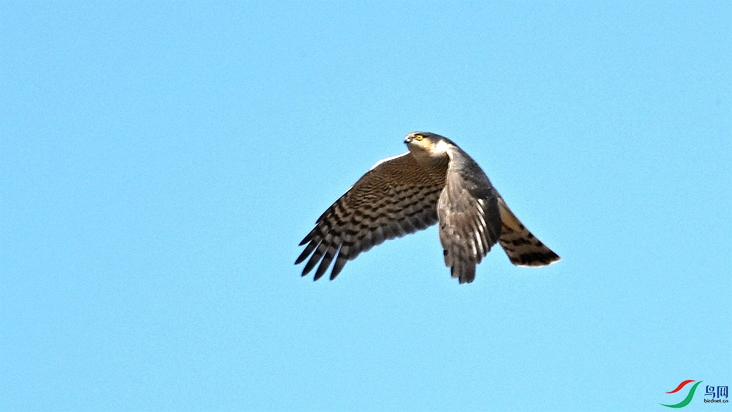 DSC_1834.JPG