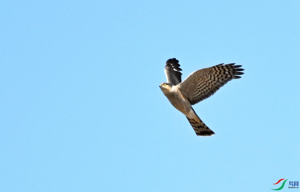 DSC_1836.JPG