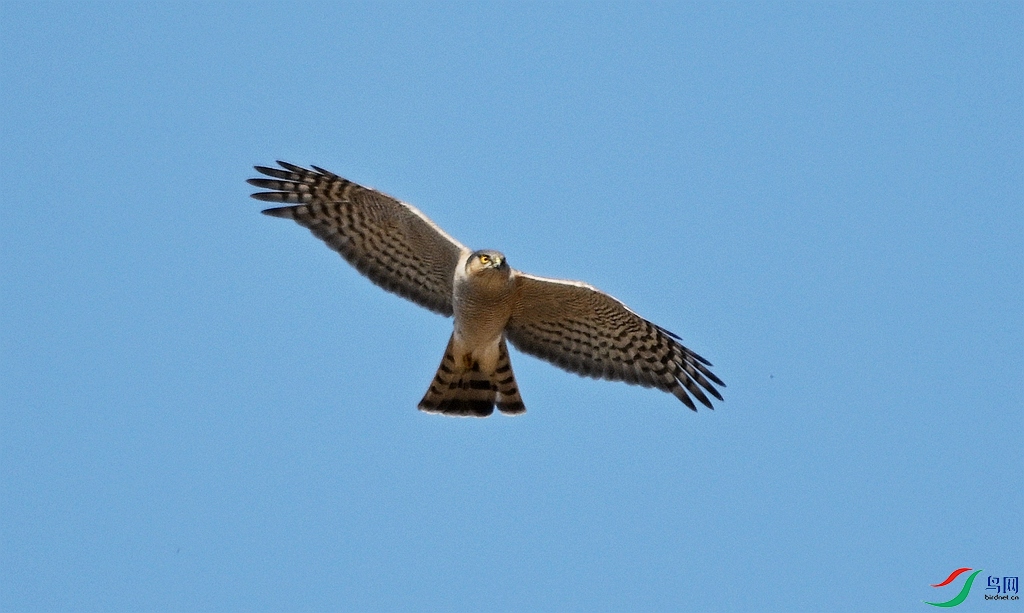 DSC_1850.JPG