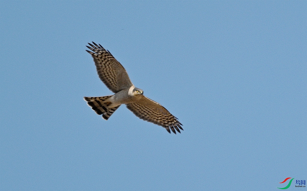 DSC_1858.JPG
