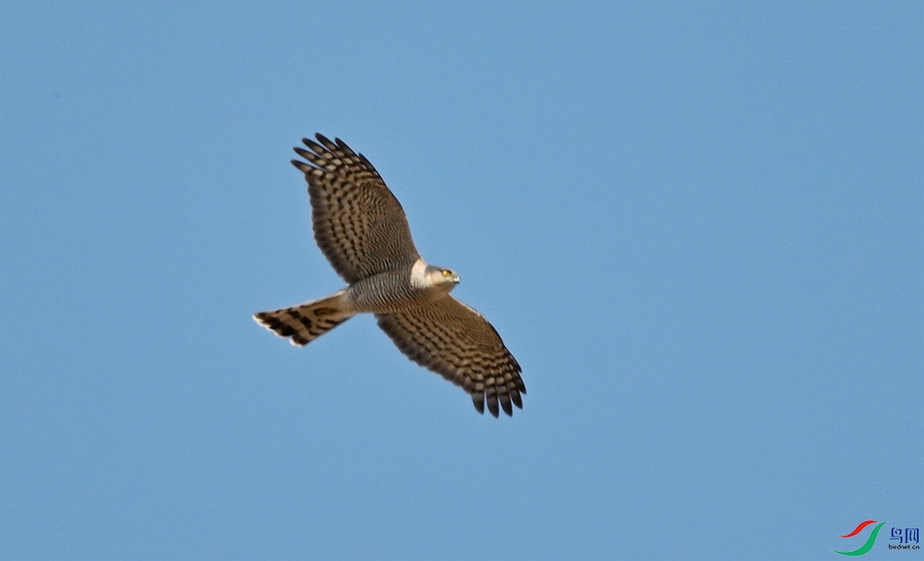 DSC_1859.JPG