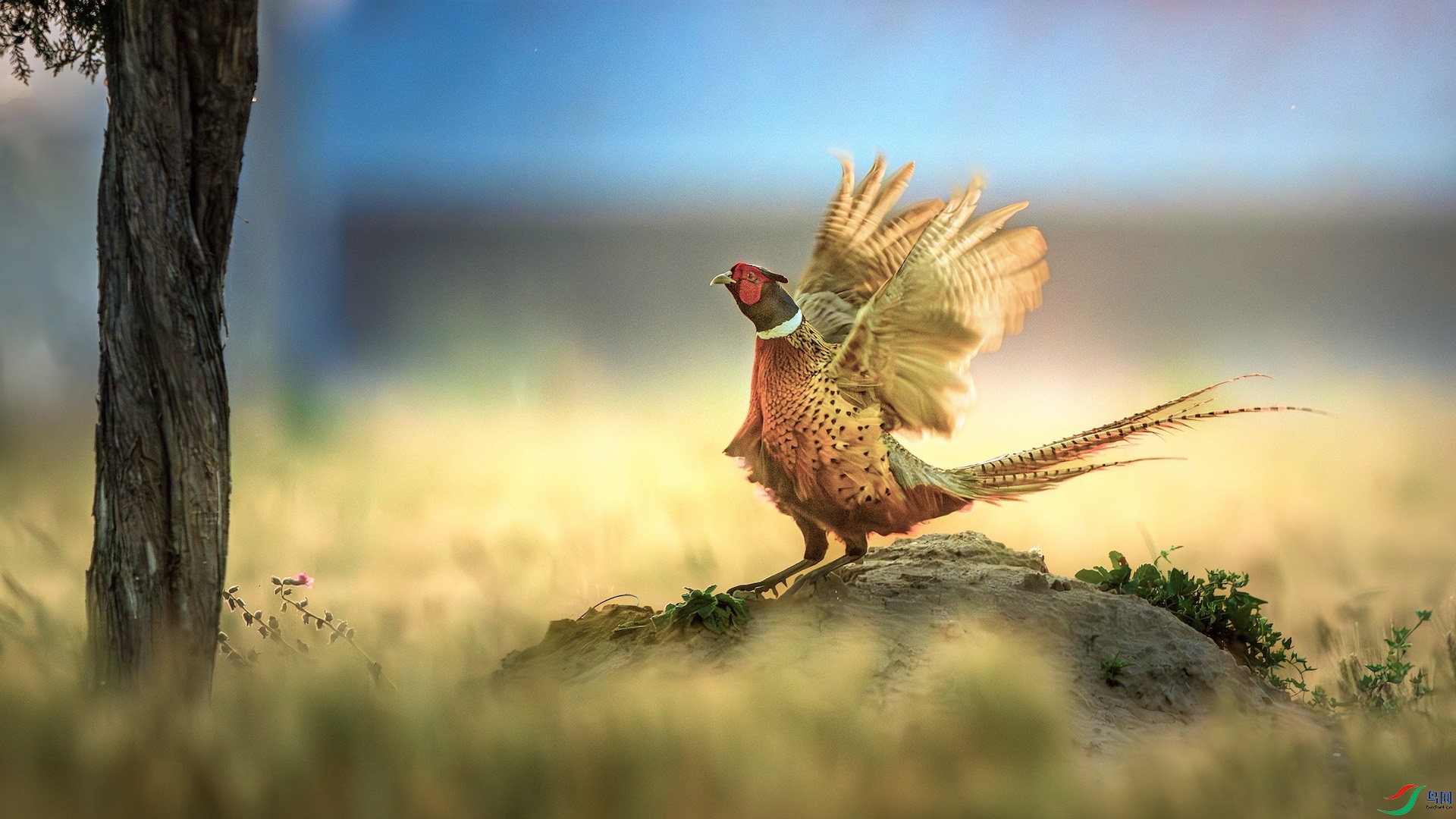 1_DSC9151-����ǿ-NR ���� 2.jpg222.jpeg