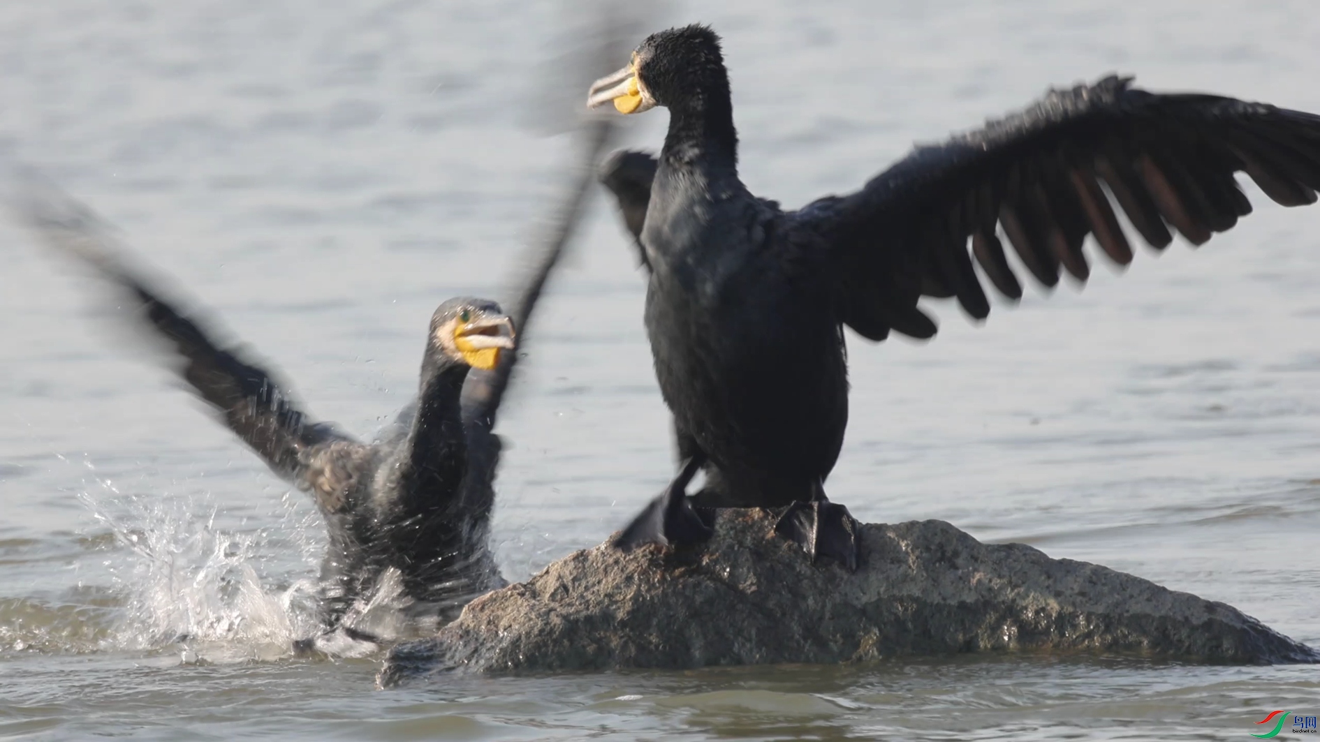 ���.jpg