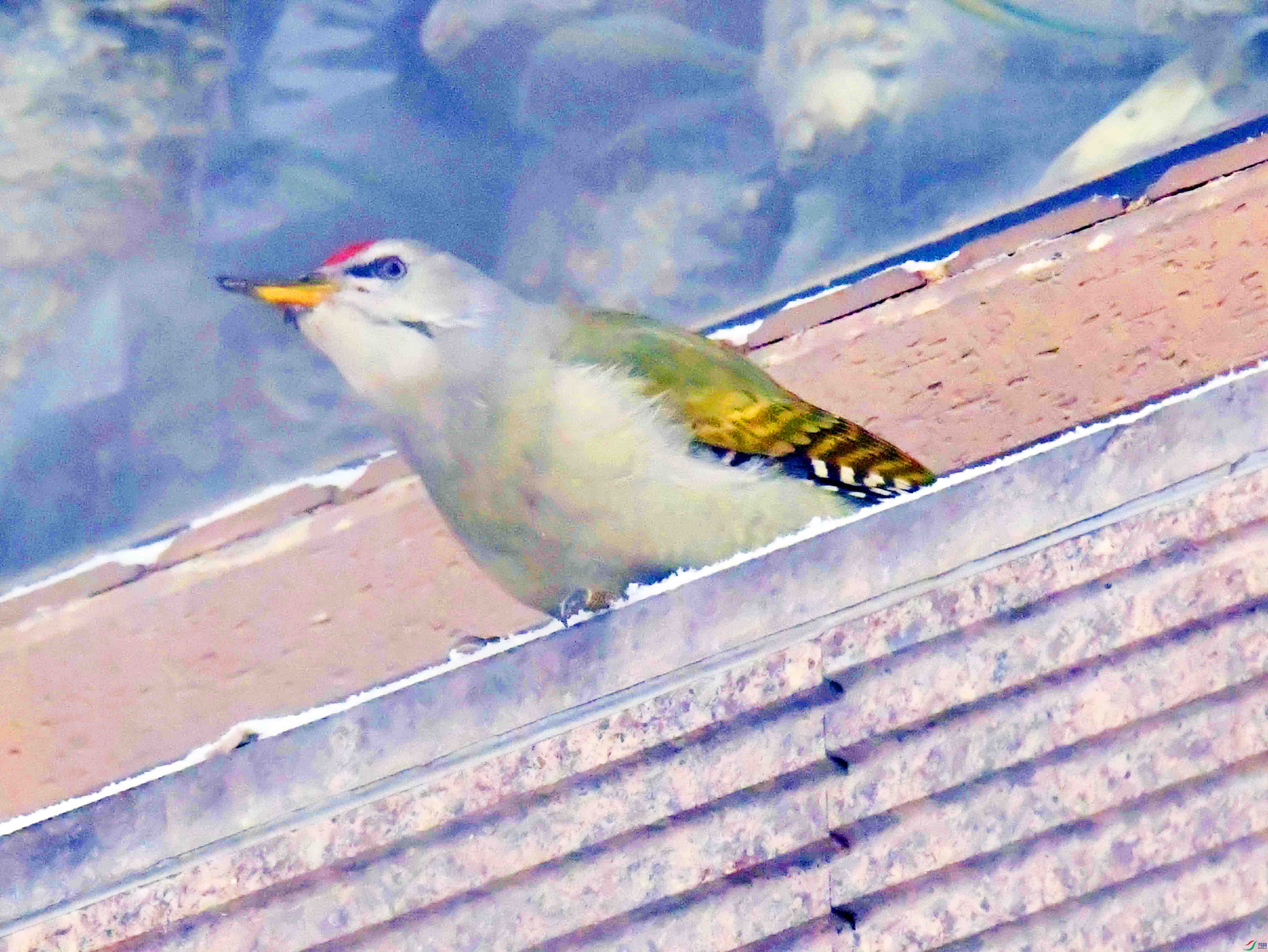 DSC_0636.JPG