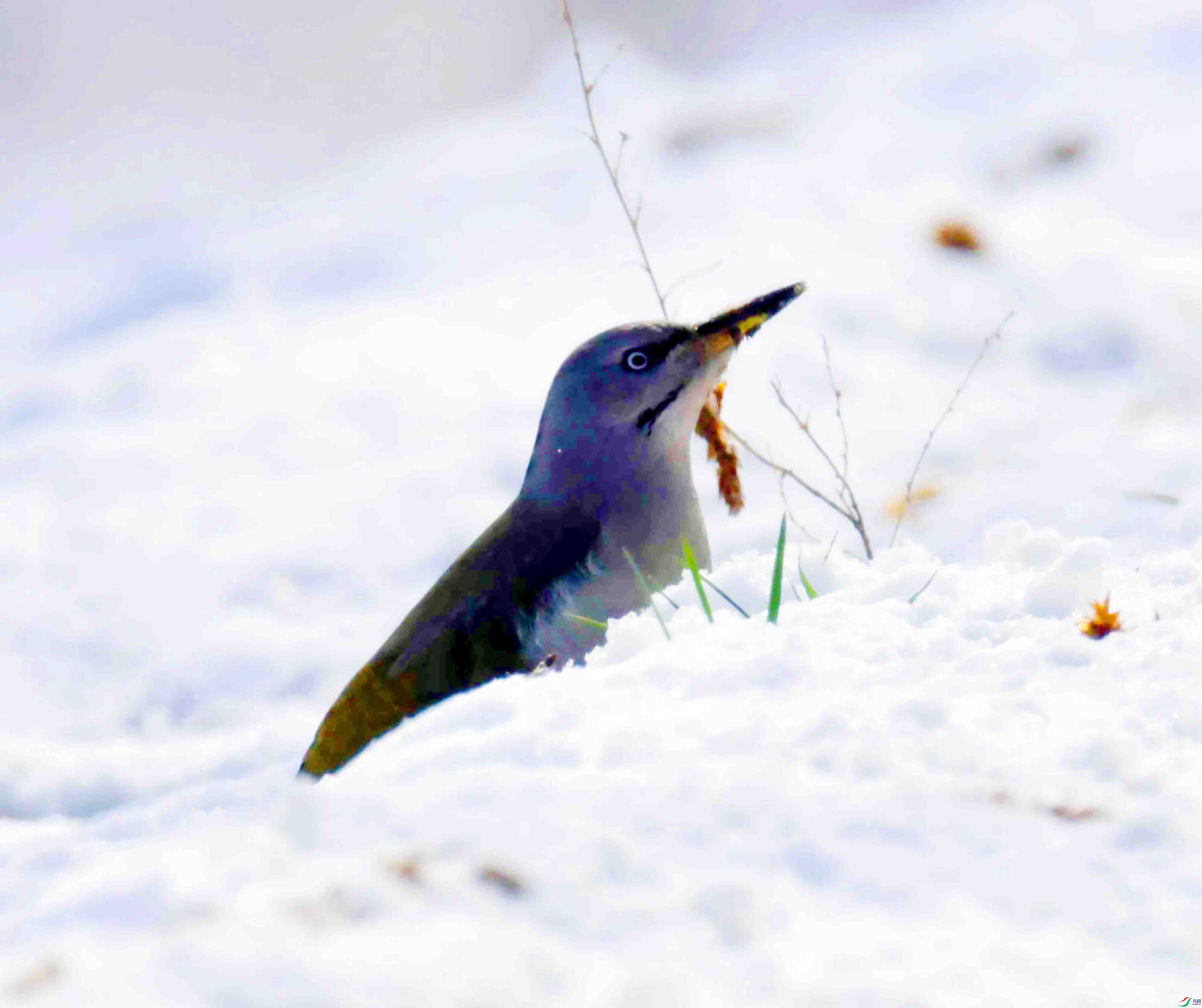 DSC_2622.JPG