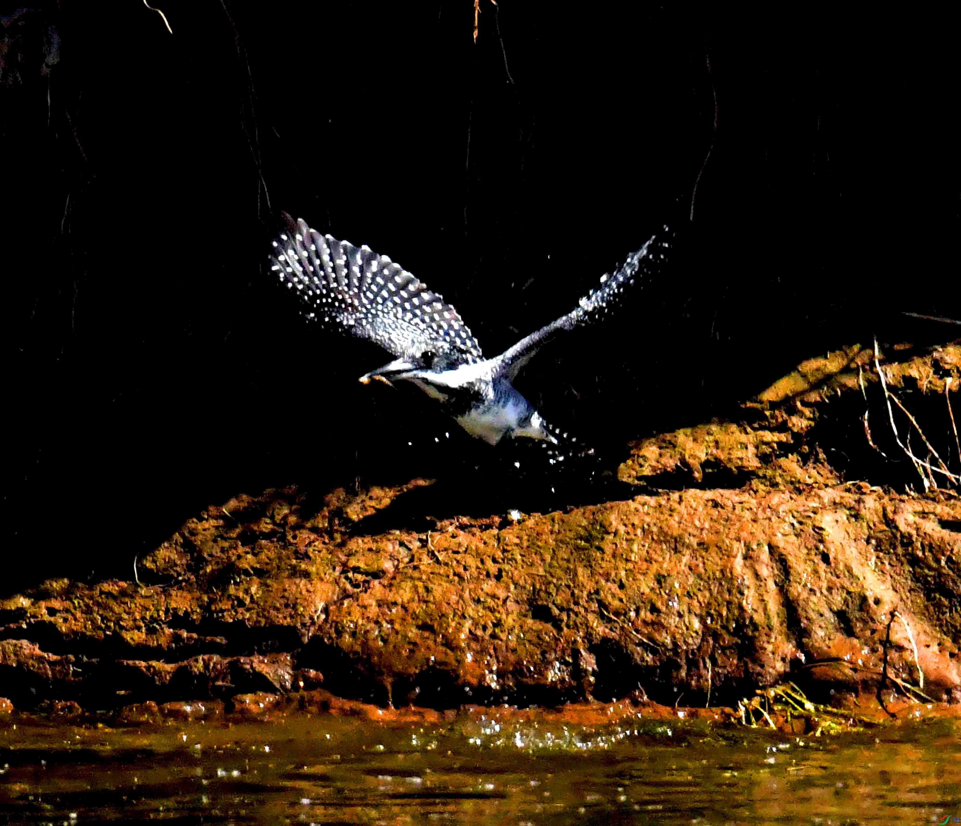 DSC_3867.JPG