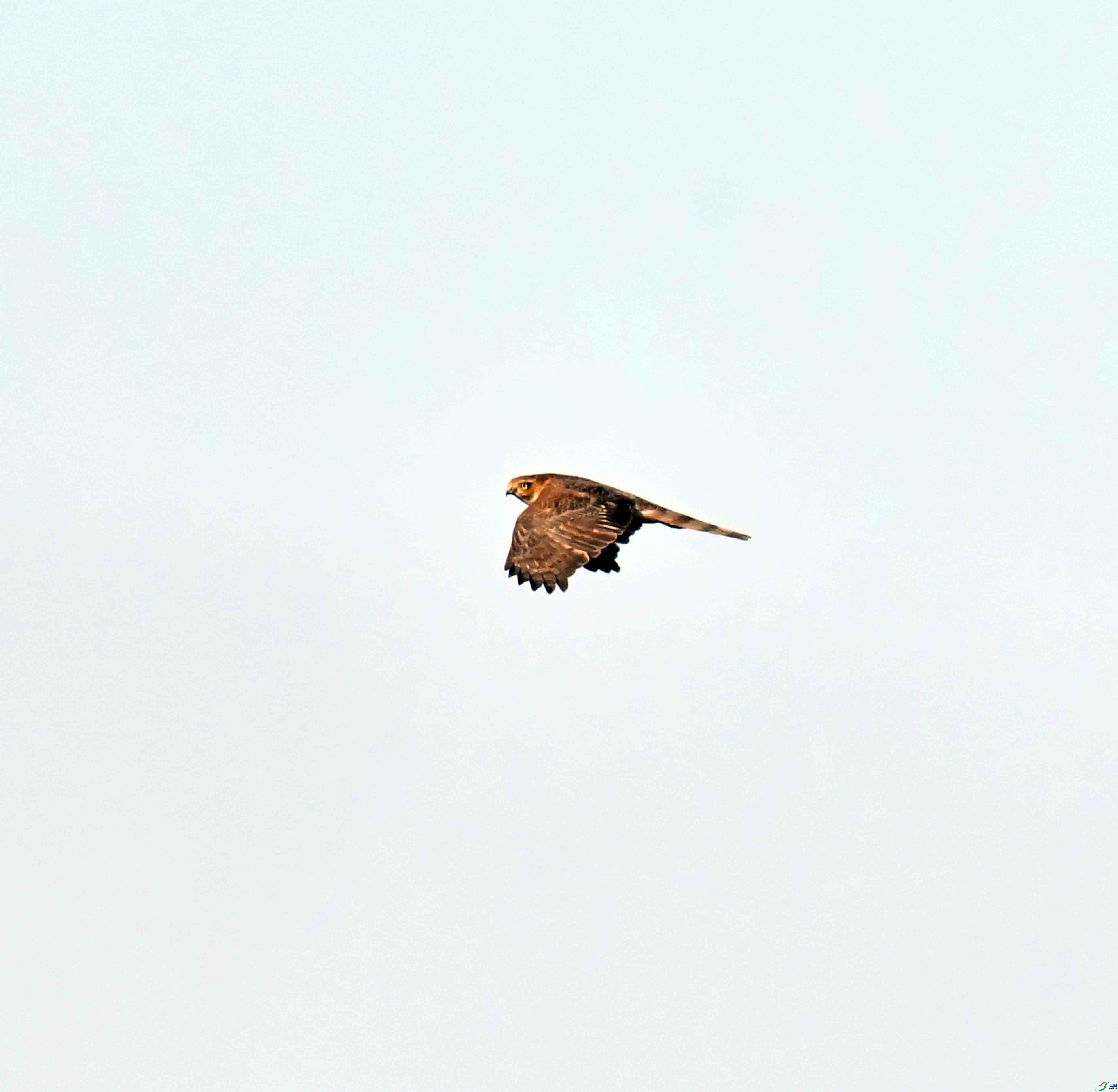 DSC_2909.JPG
