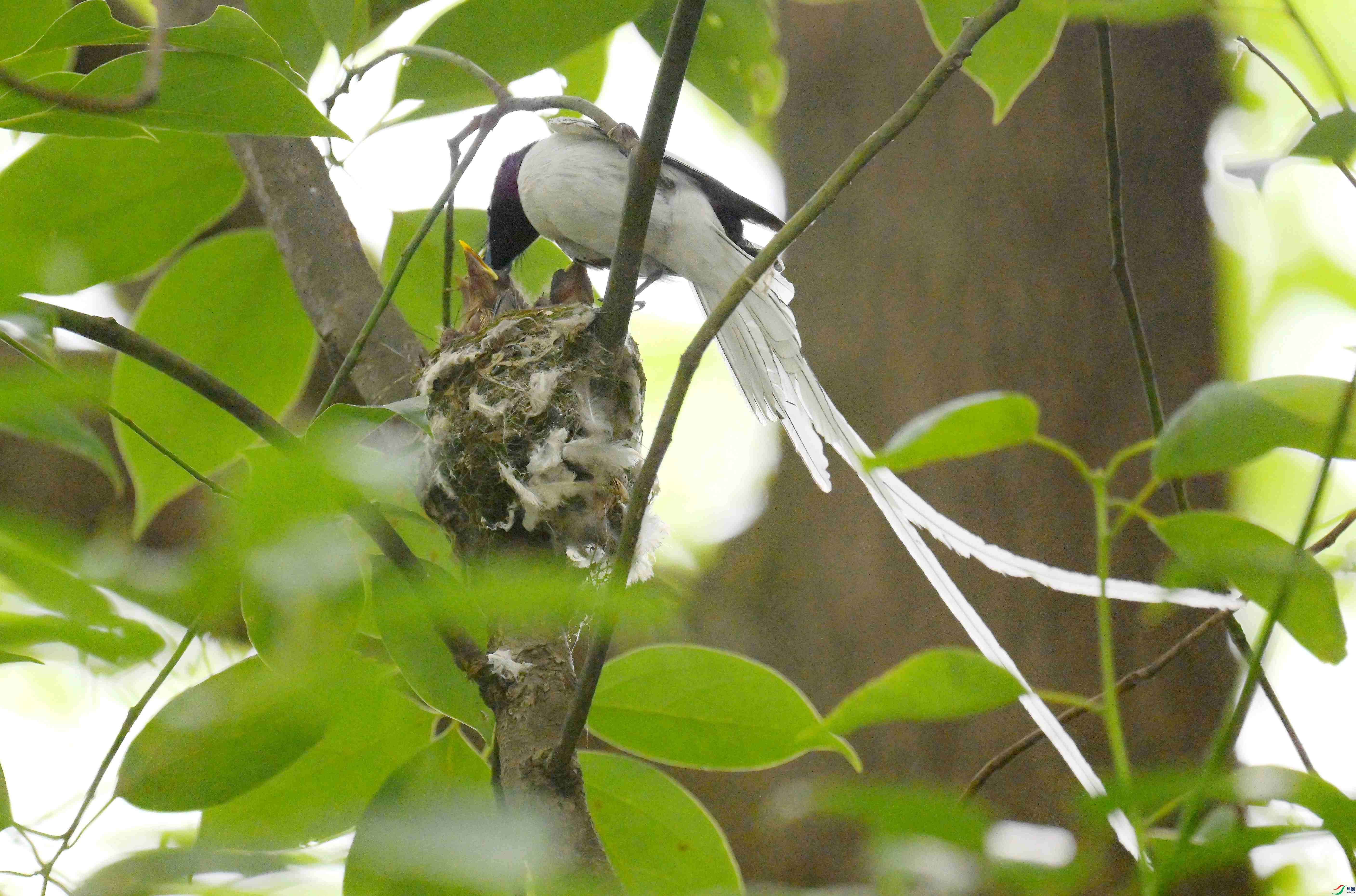 DSC_3832.jpg