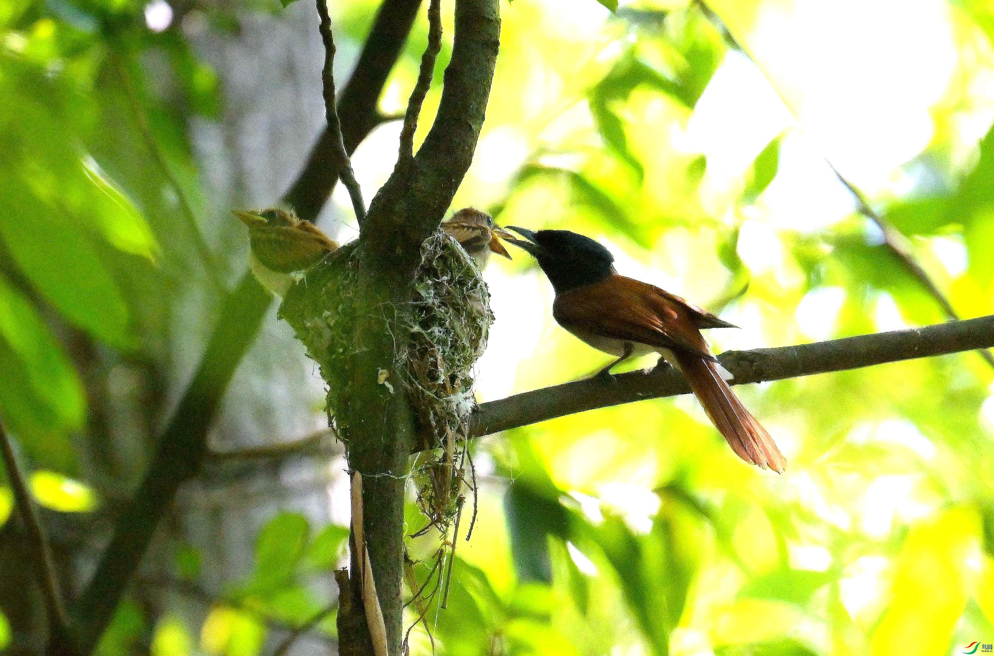 DSC_6522.jpg