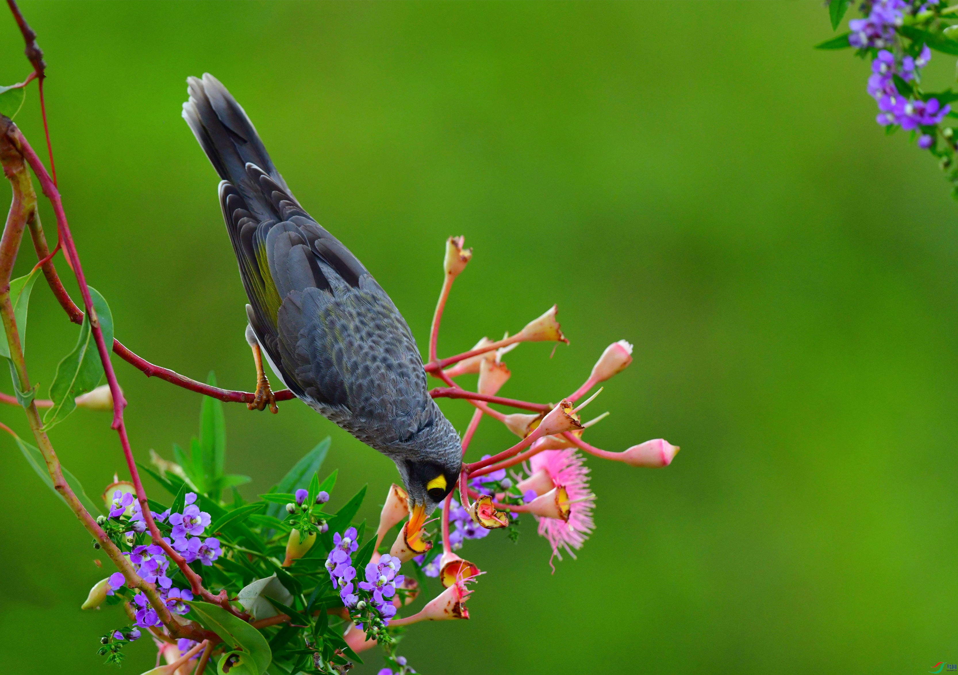 DSC_6430_��ͼ��_����.jpg