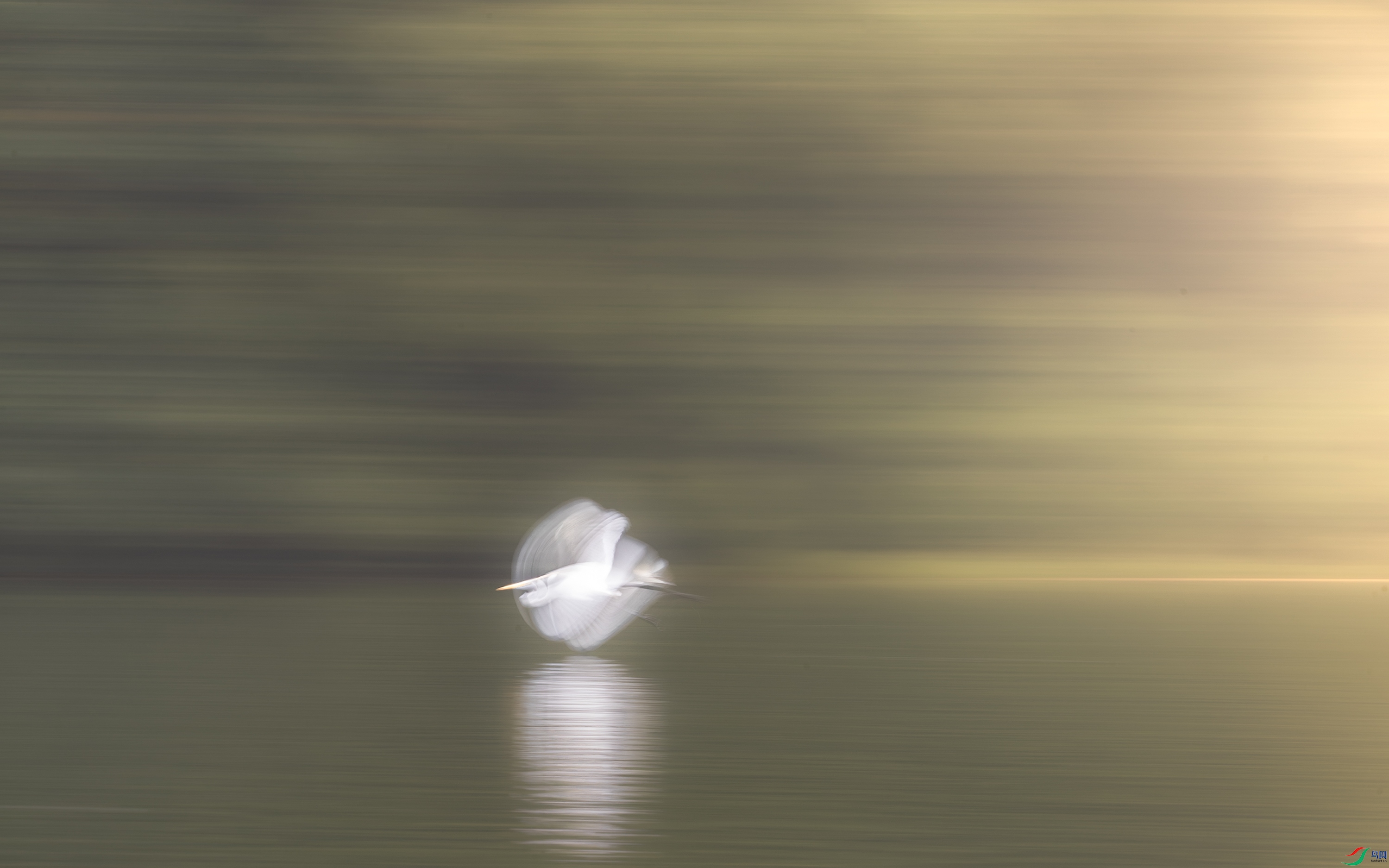 A15I3350-����ǿ-NR ����.jpg