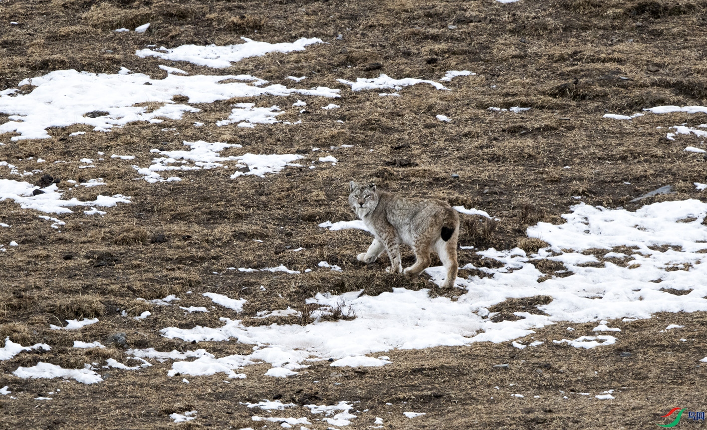 DSC_2550 ����.jpg