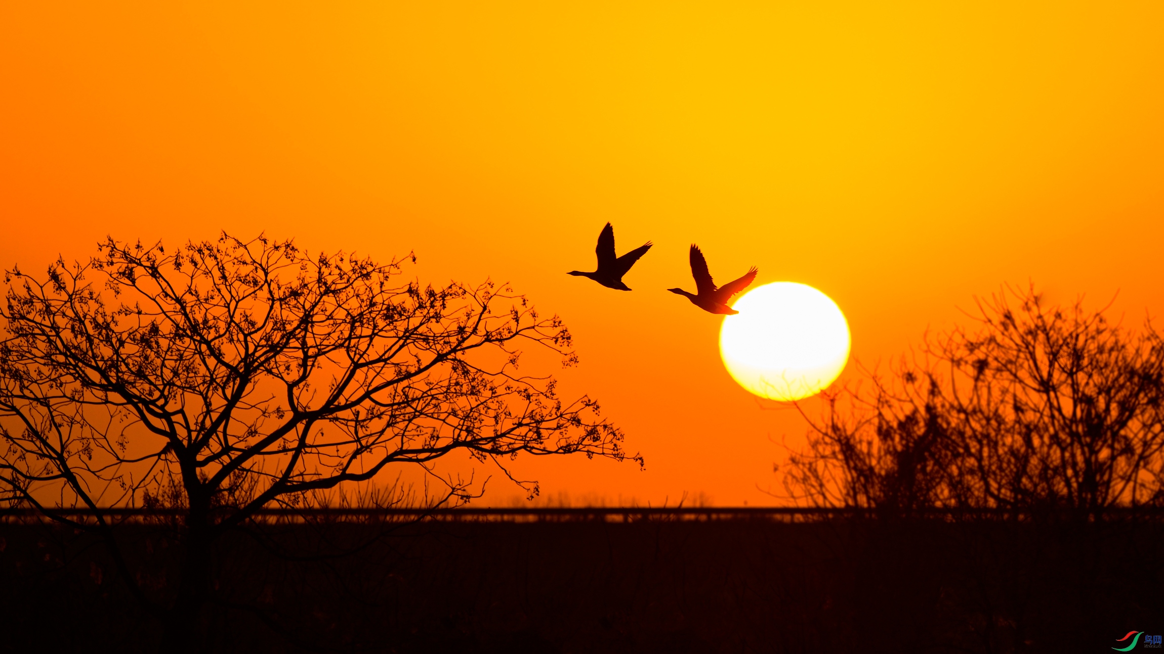 _DSC0589x.jpg
