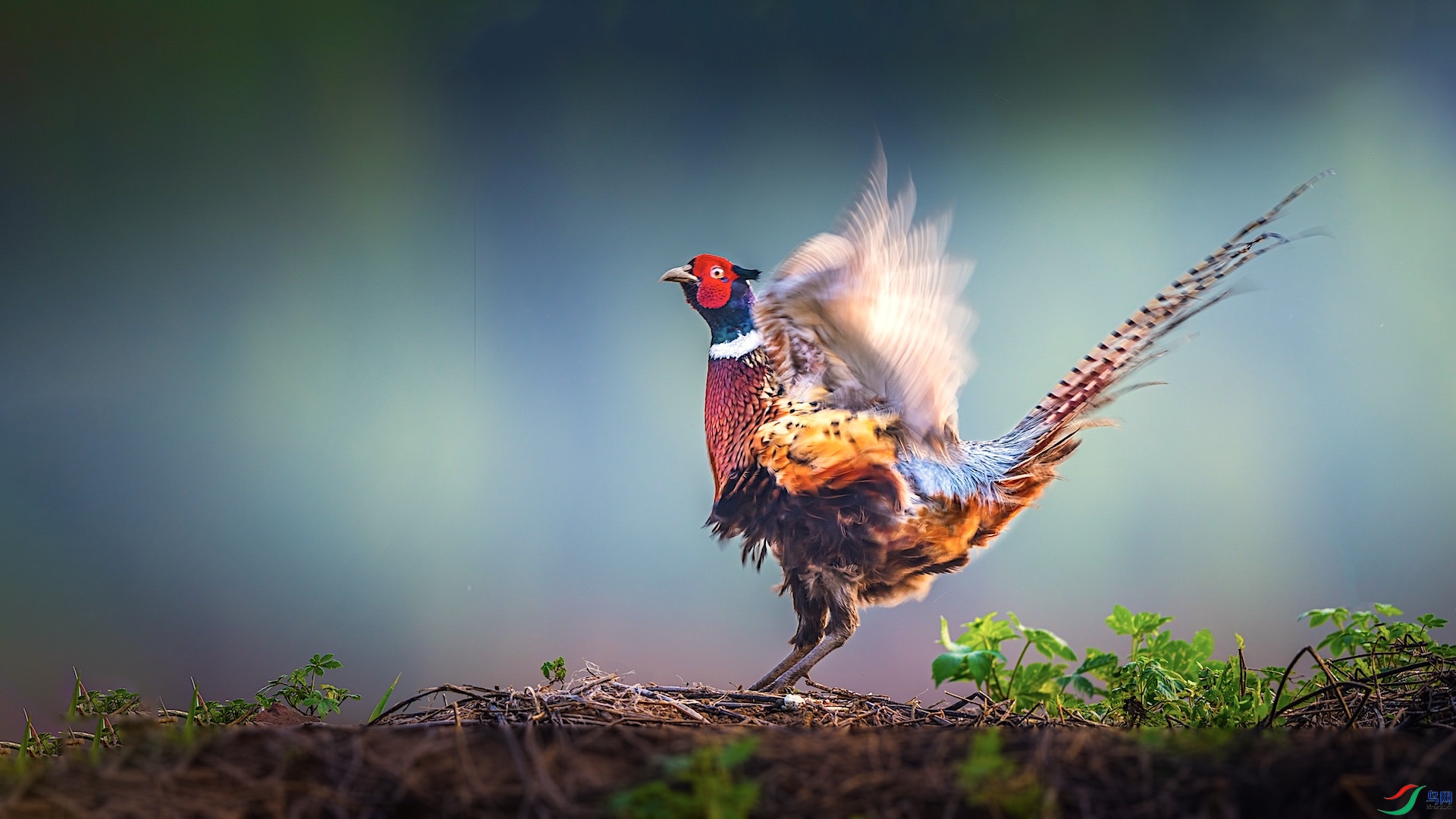 1-60-1 ���� 2.jpeg