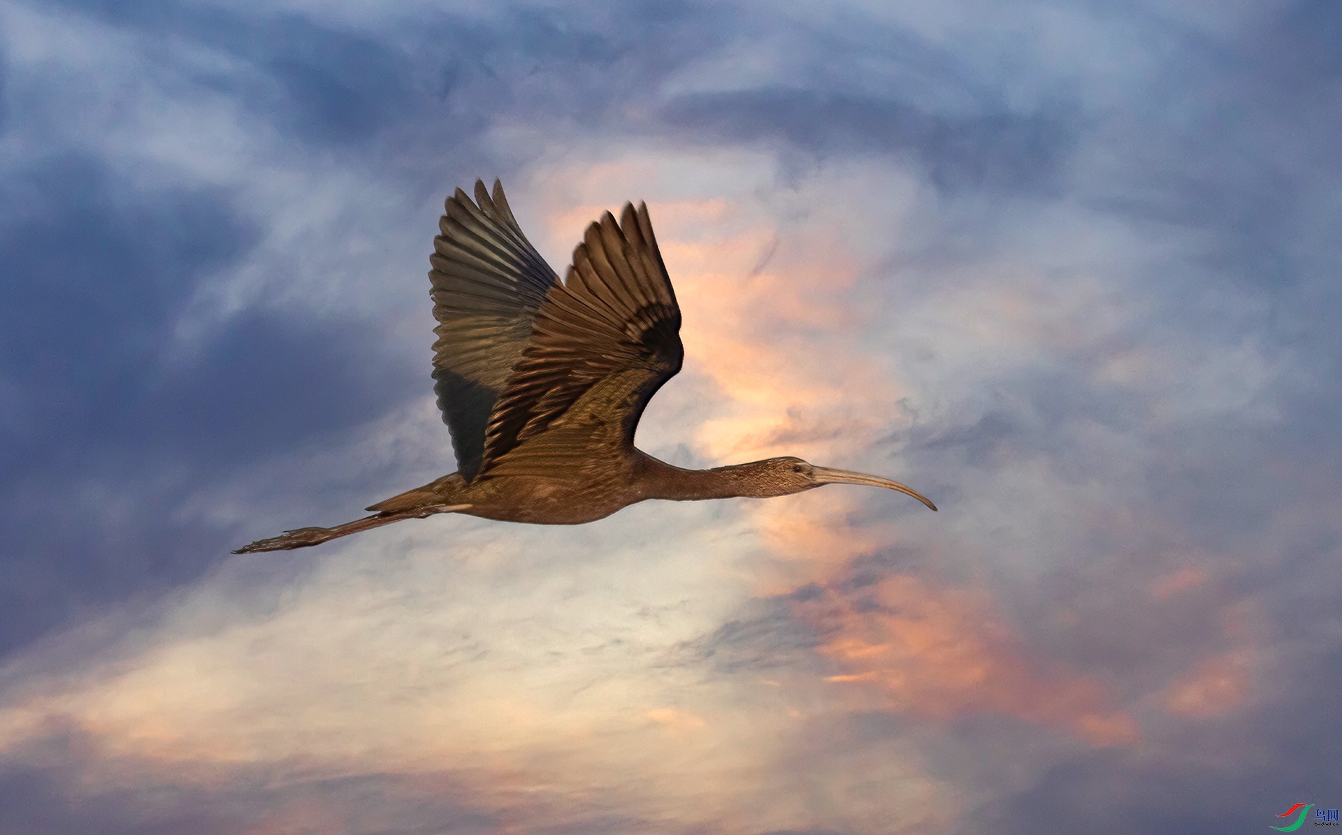 407A6246 ����-Sh---1111  .jpg