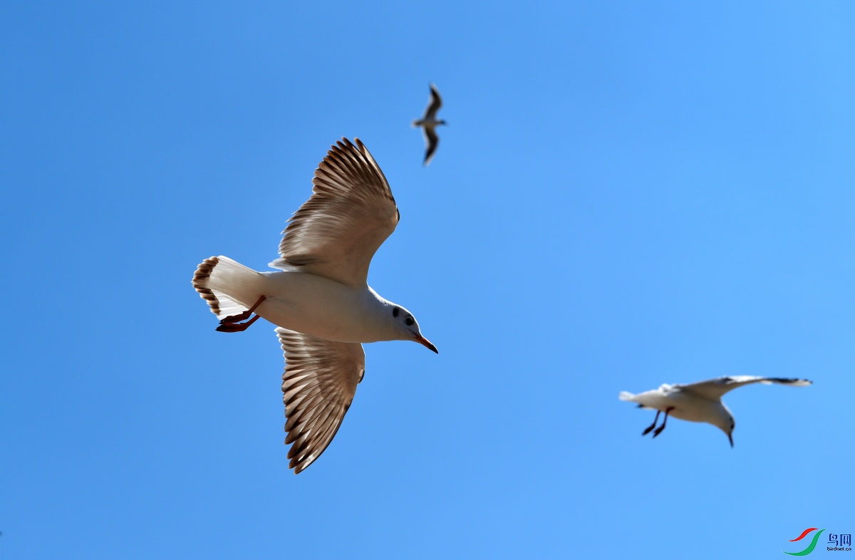 DSC_4392_01.JPG