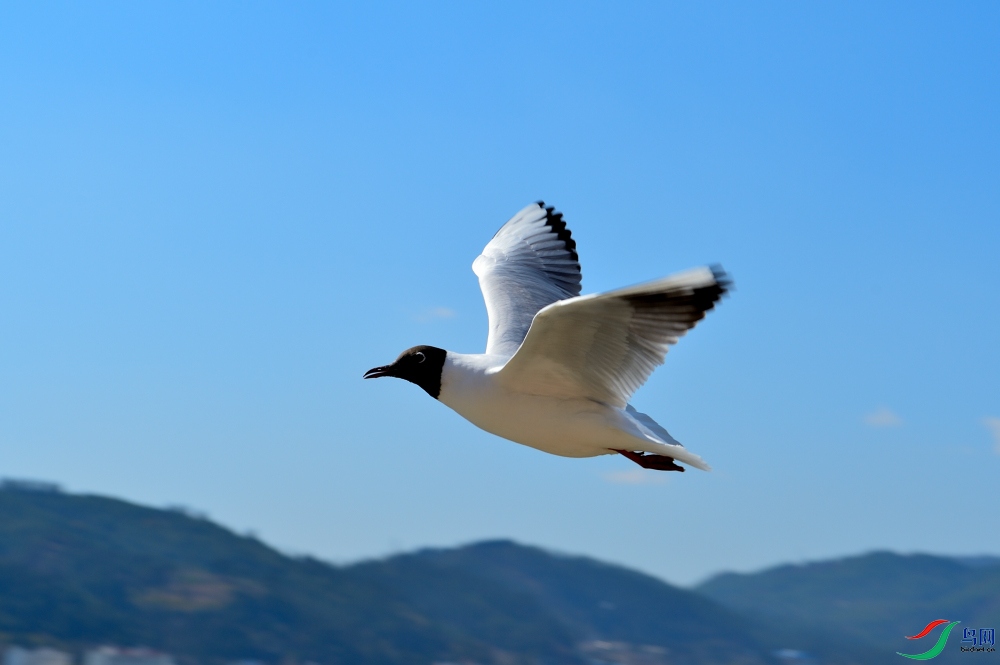 DSC_4733.JPG