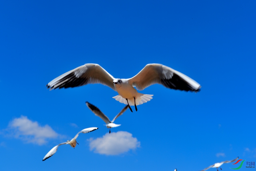 DSC_4485.JPG
