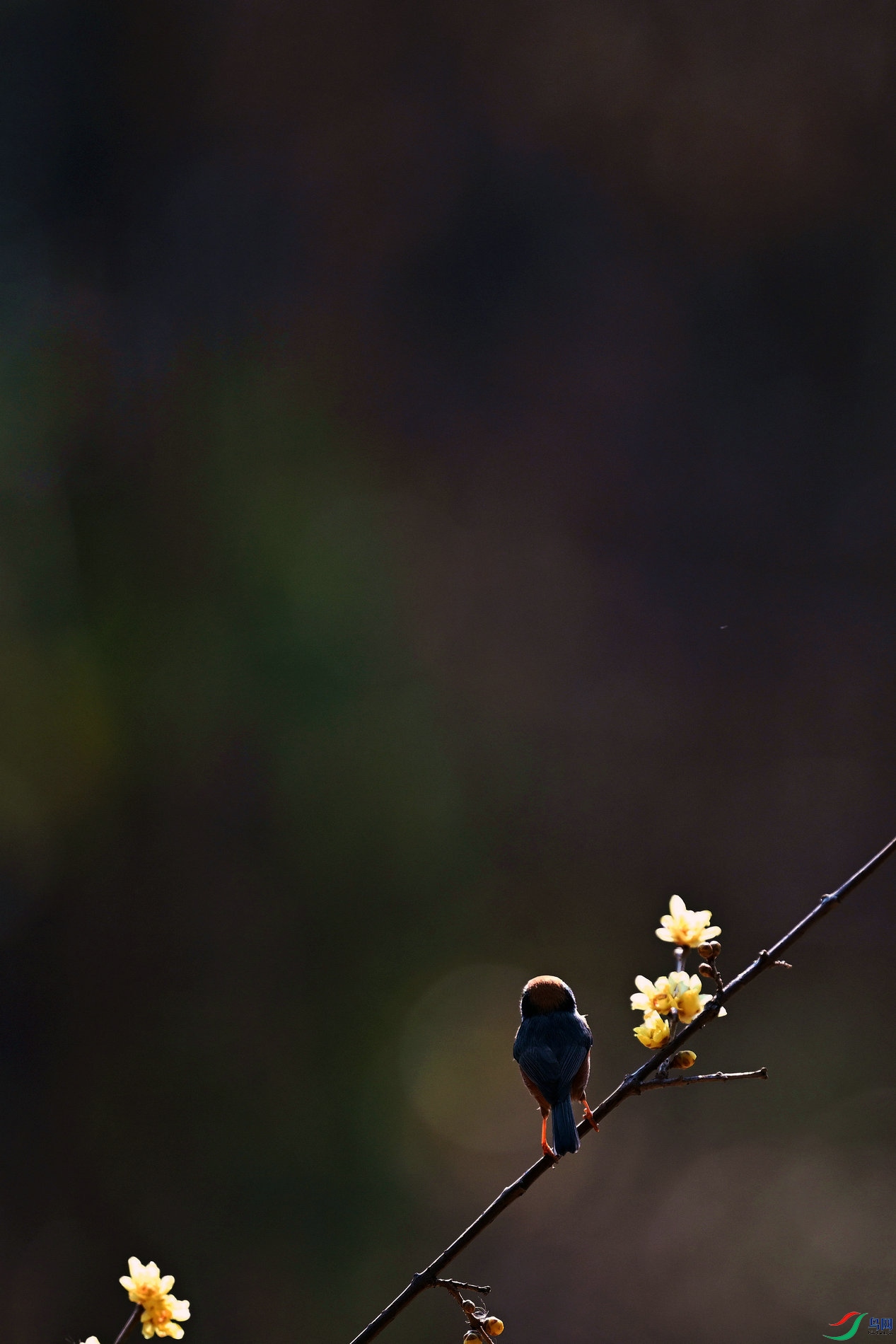 DSC_7234_����.jpg