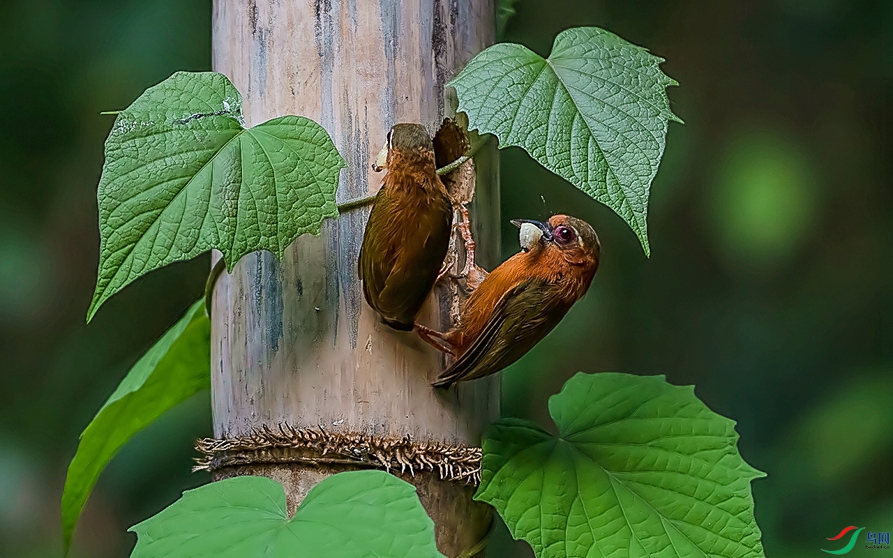 DSC_0425.jpg