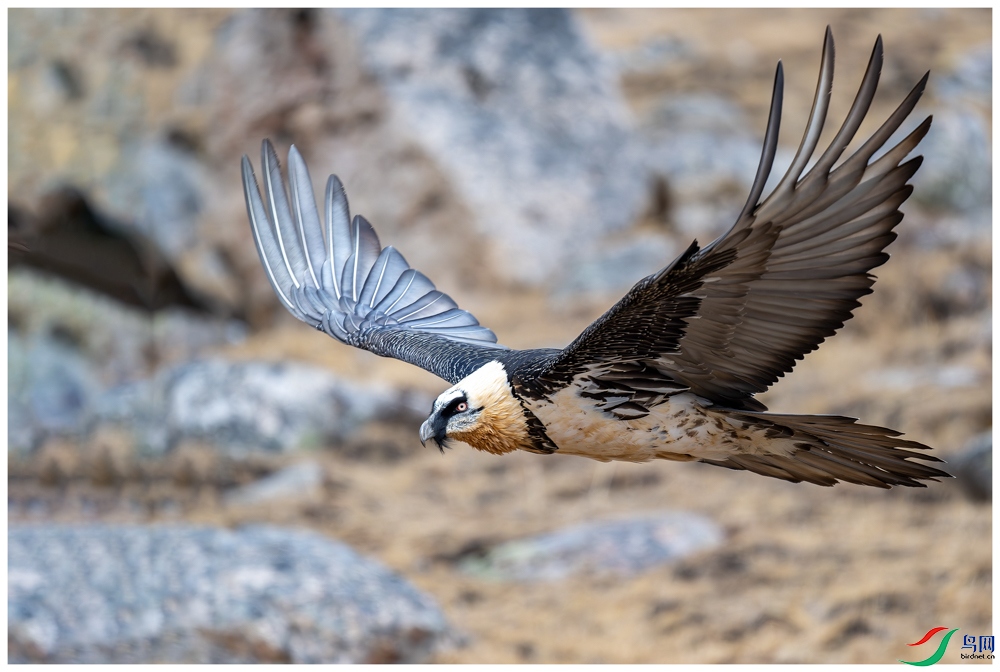 _DSC6317-����ǿ-NR ����.jpg