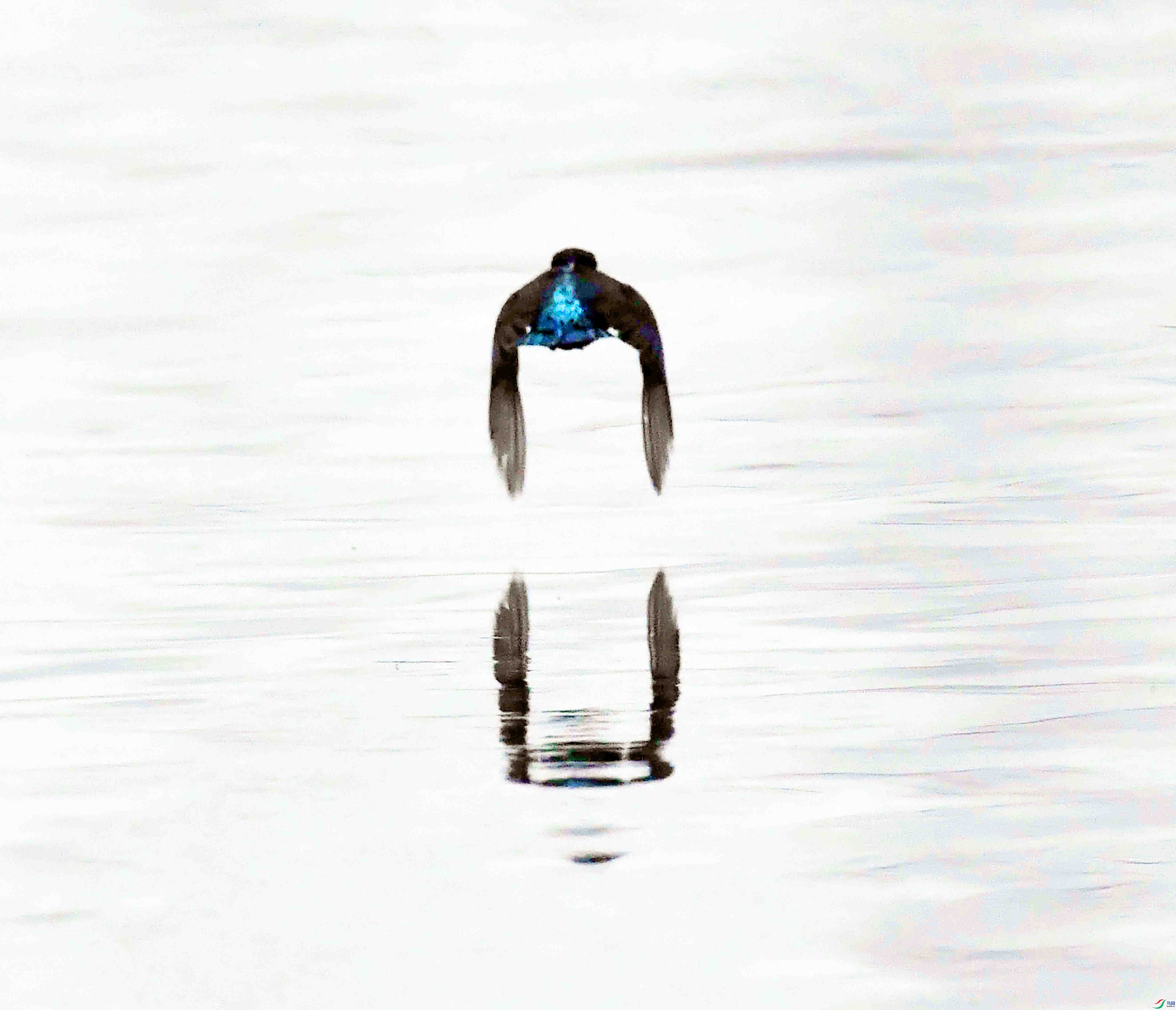 DSC_9750.JPG