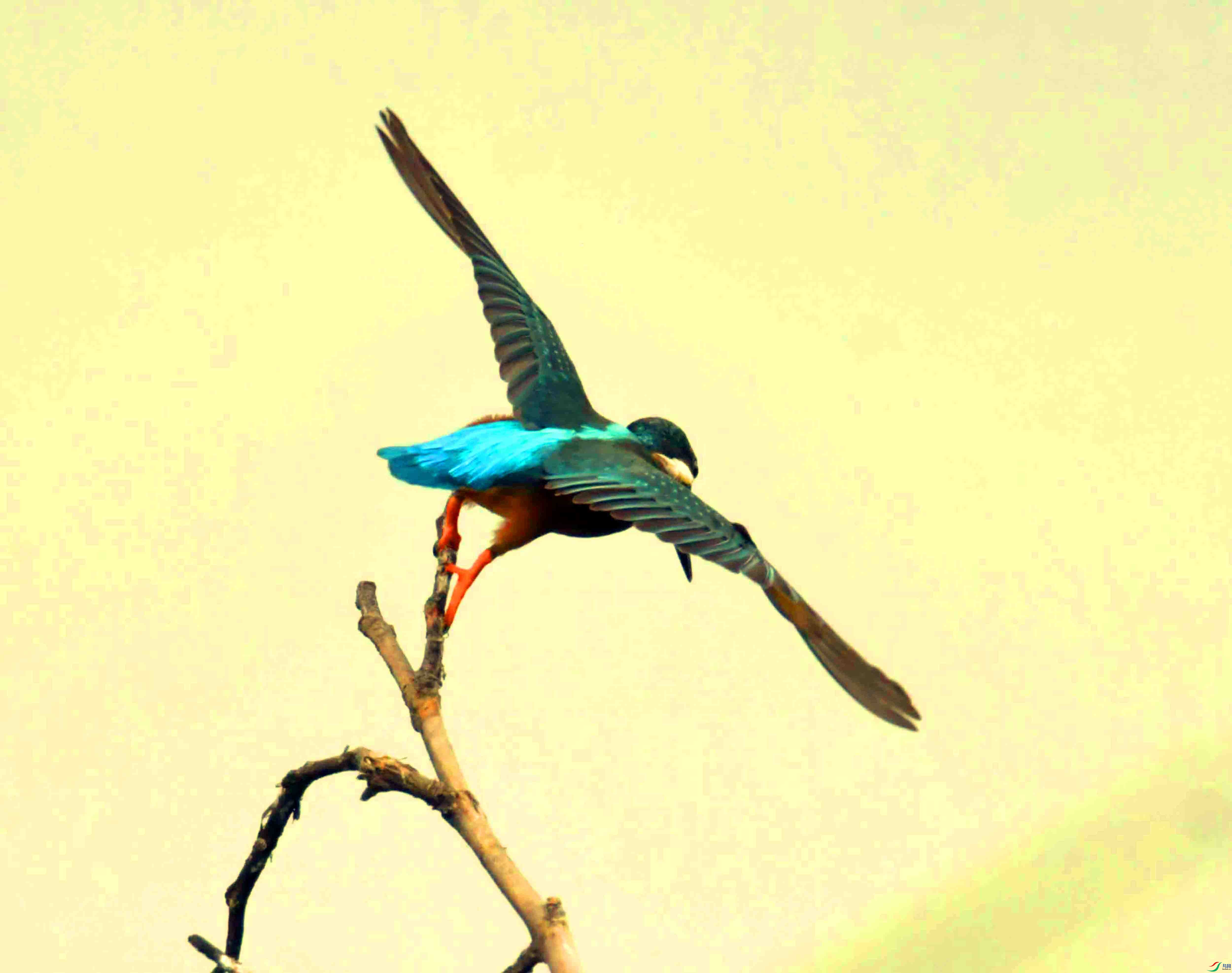 DSC_9842.JPG