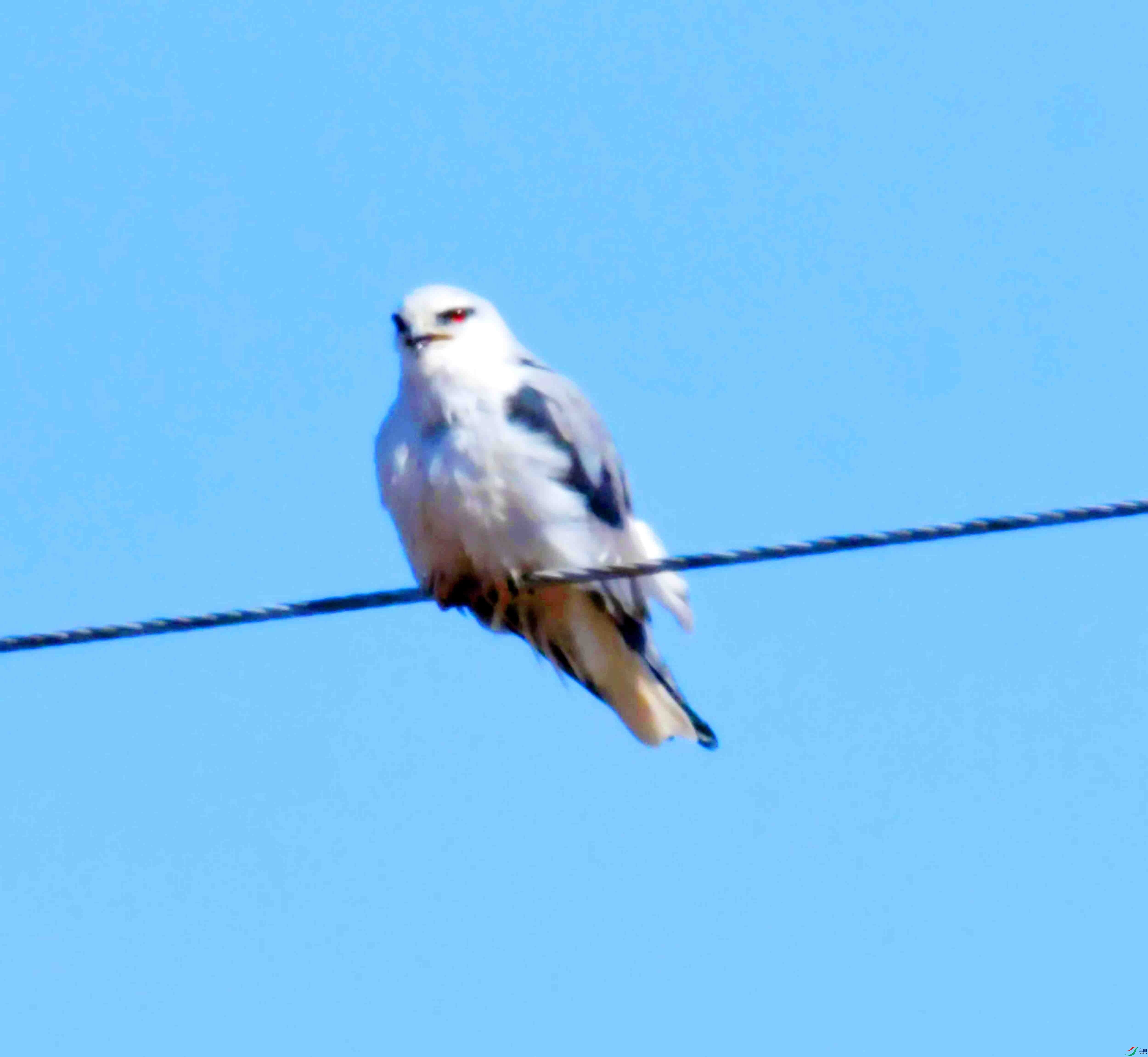 DSC_8732.JPG