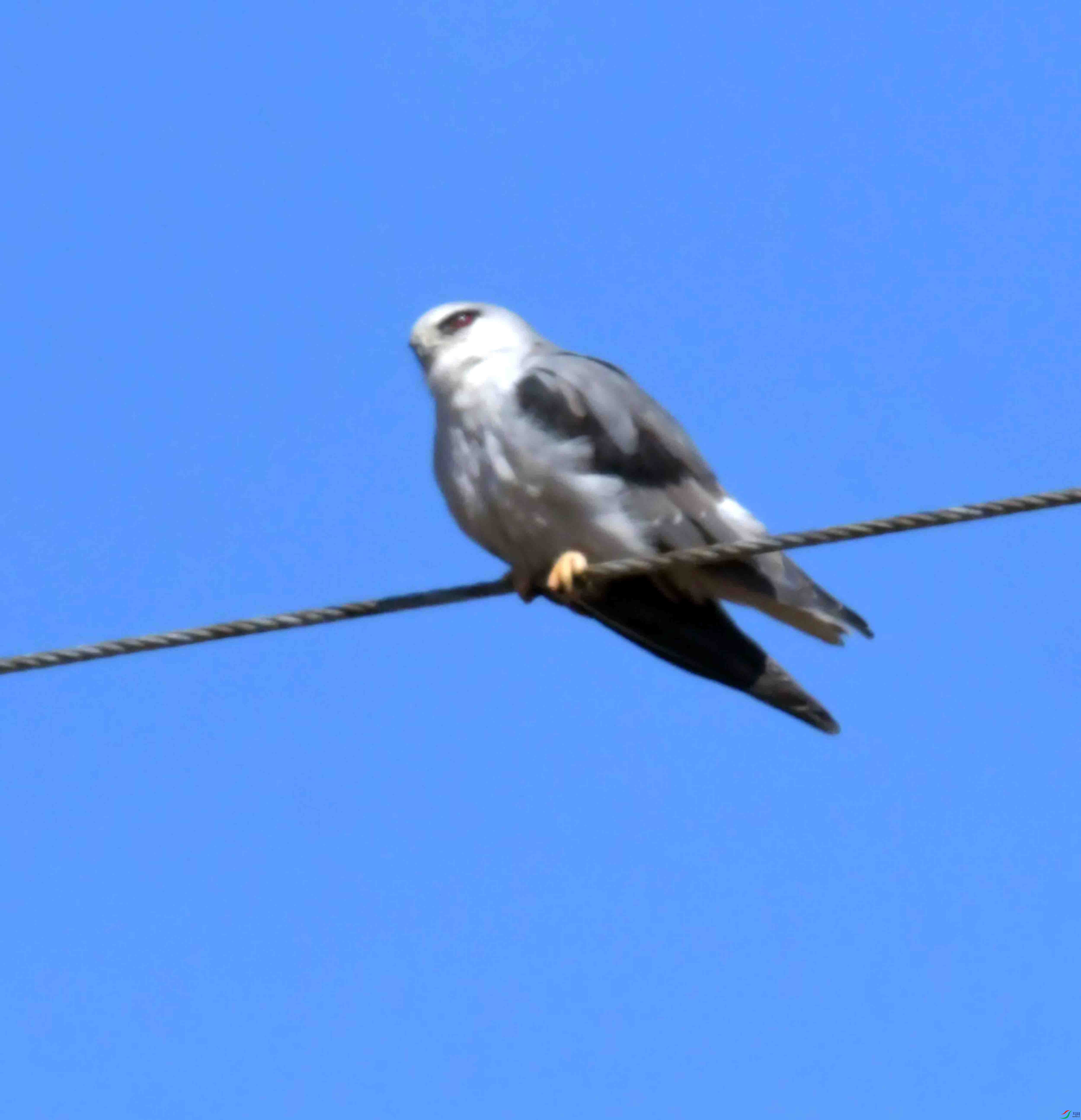 DSC_8829.JPG