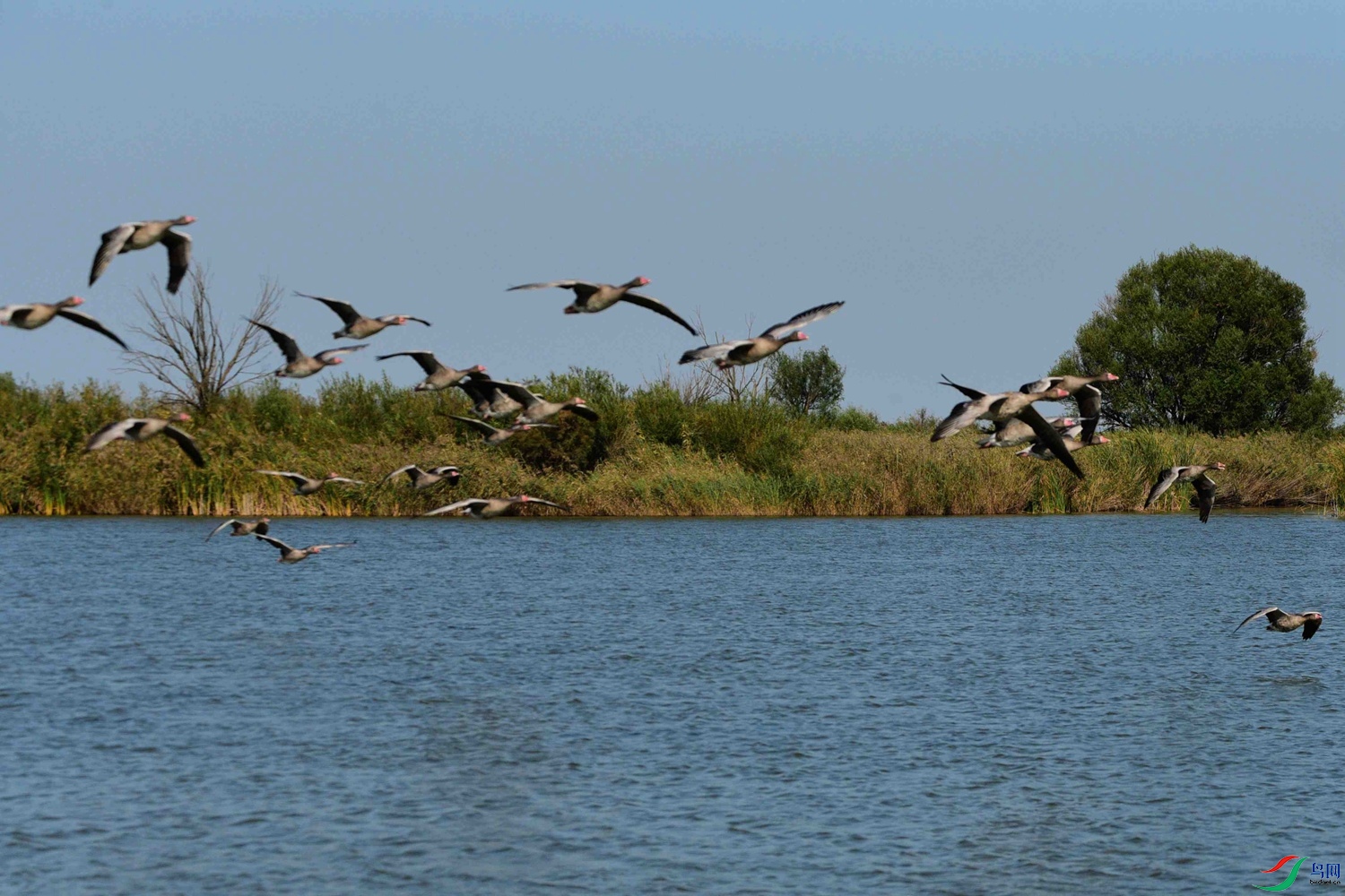 DSC_6862.JPG