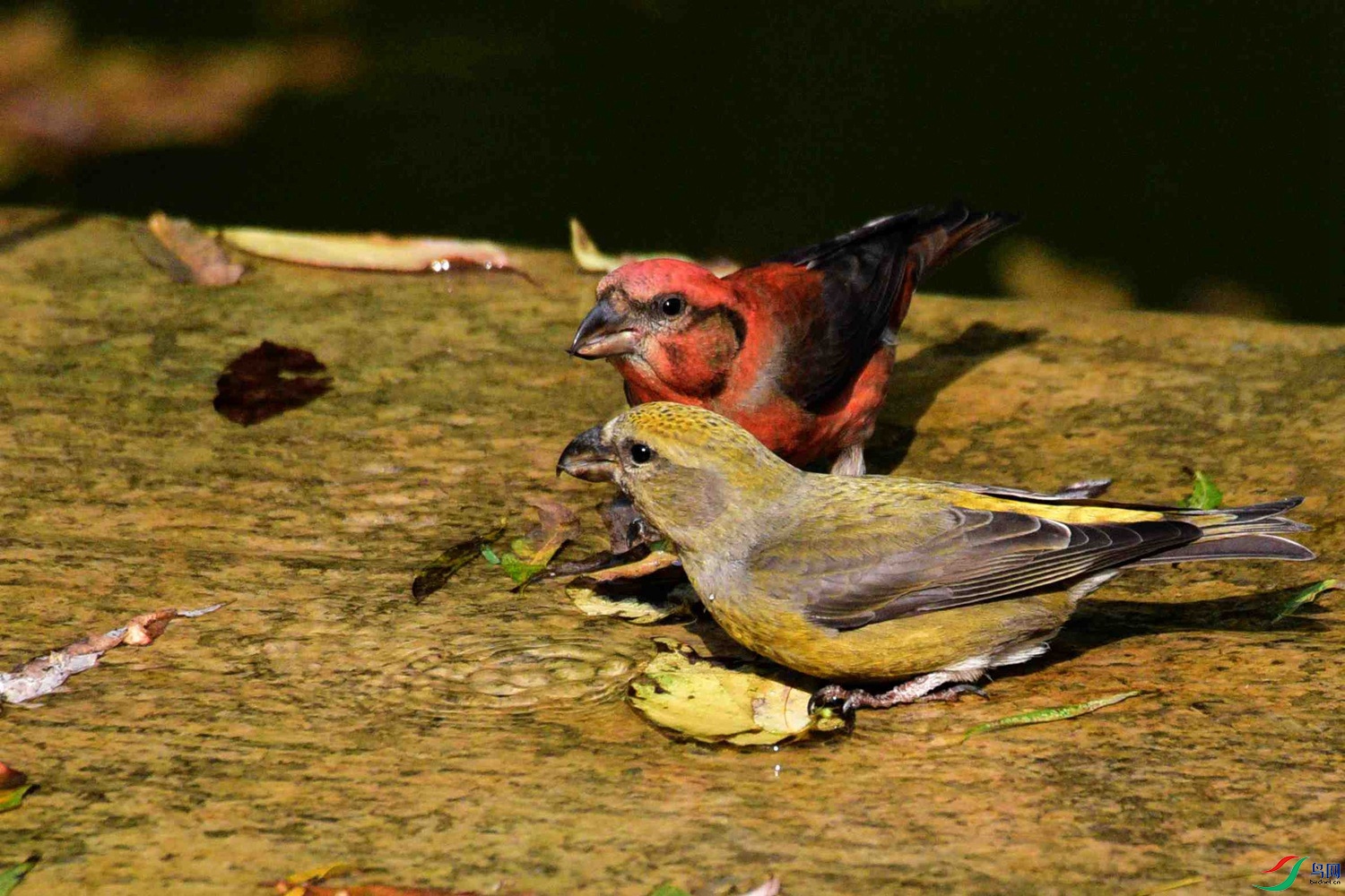 DSC_8372.JPG