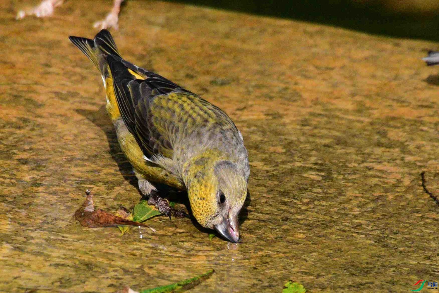 DSC_8369.JPG