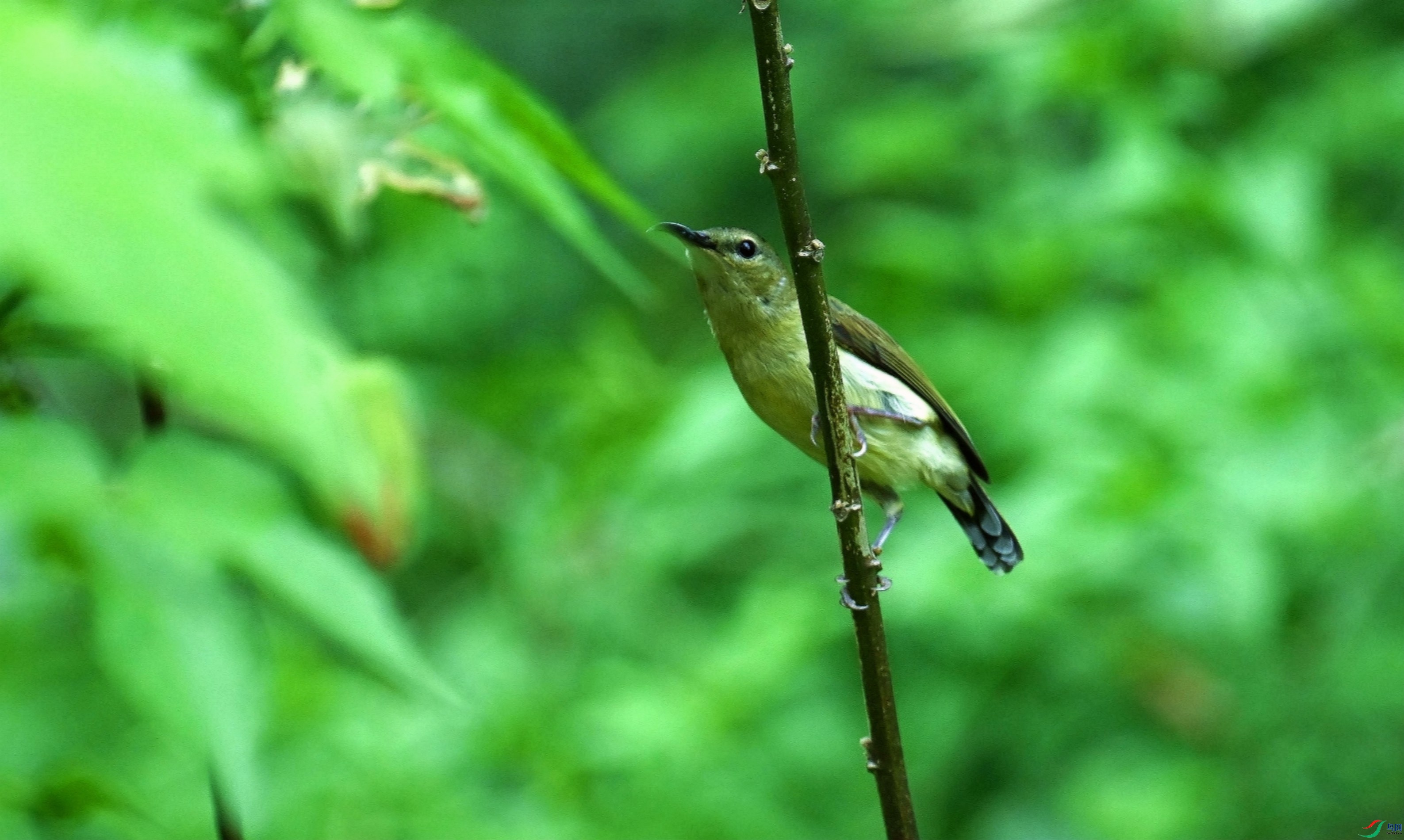 DSC_7446_����.jpg