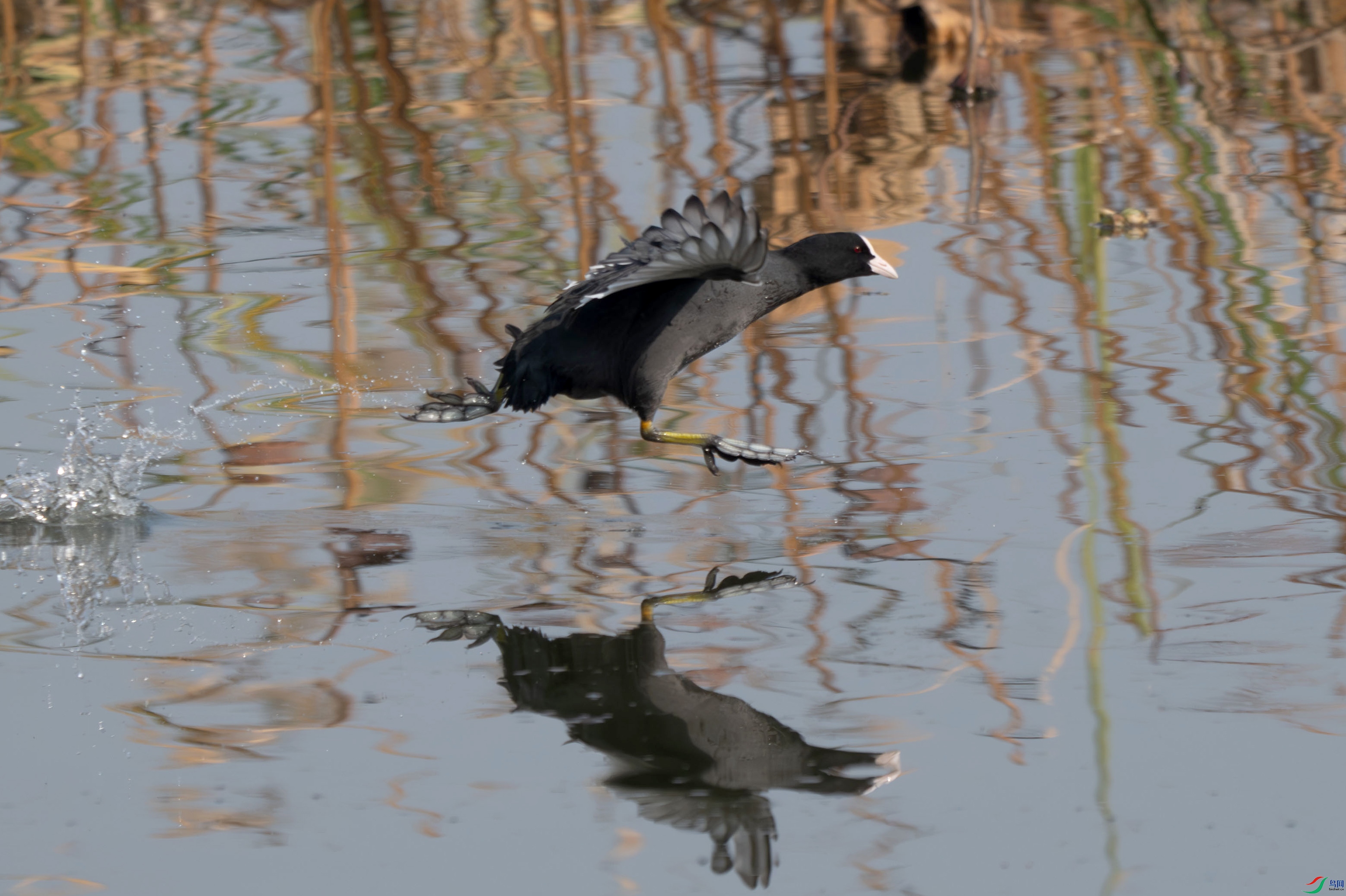DSC_0840.jpg