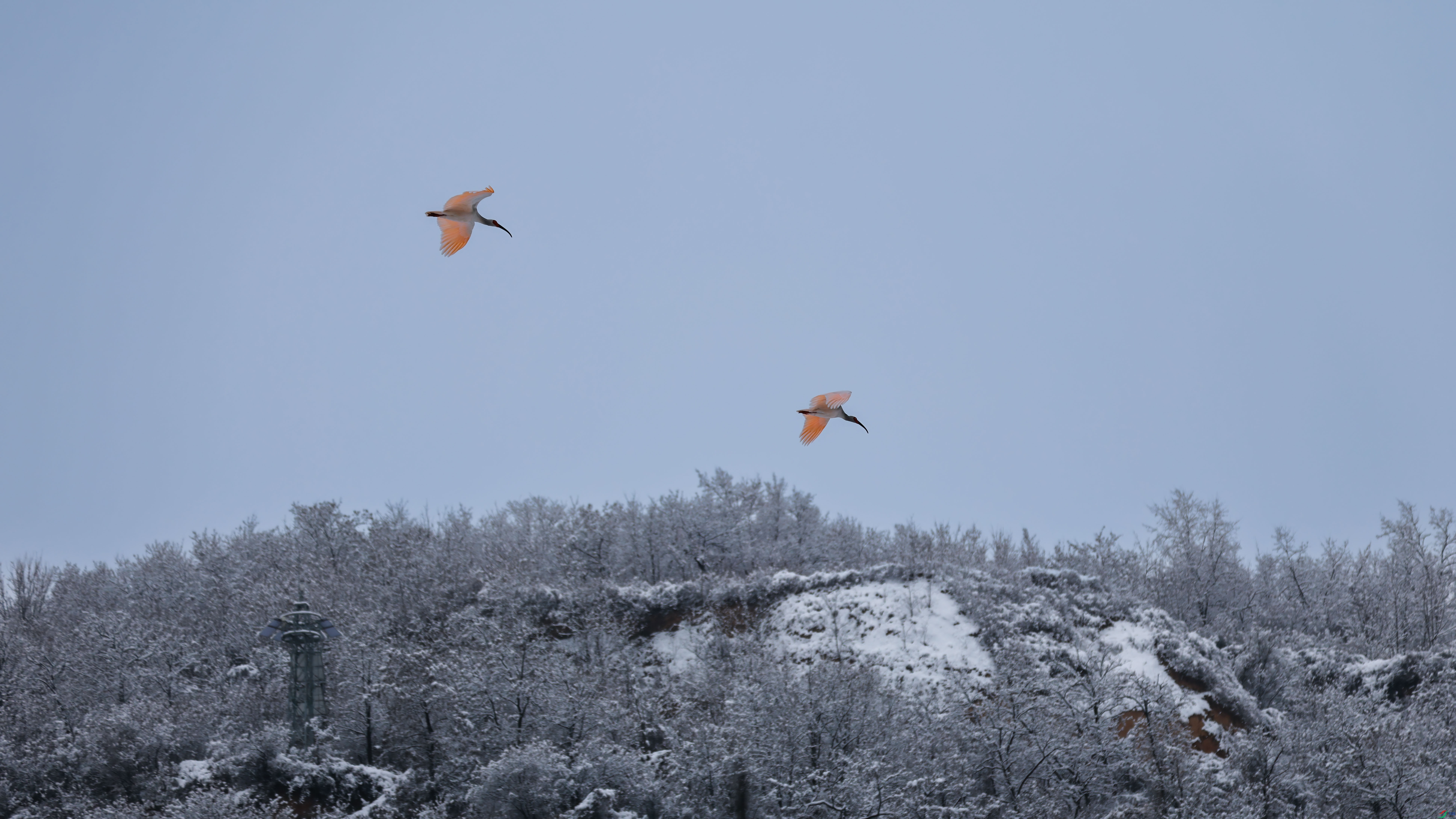 2I7A0026 ����.jpg