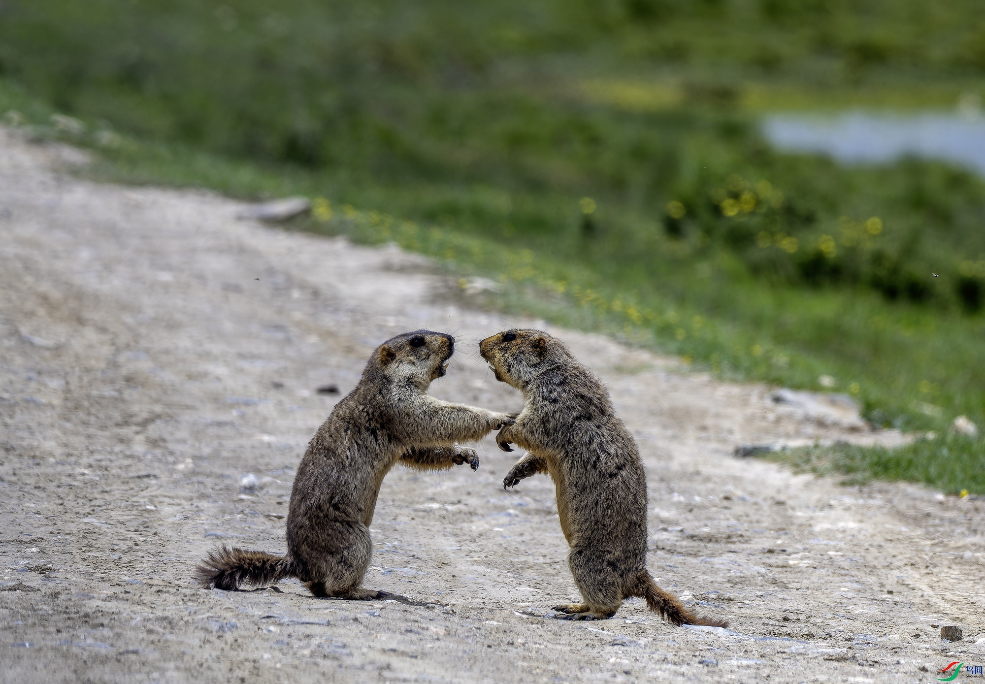 ������ (125)-01.jpg